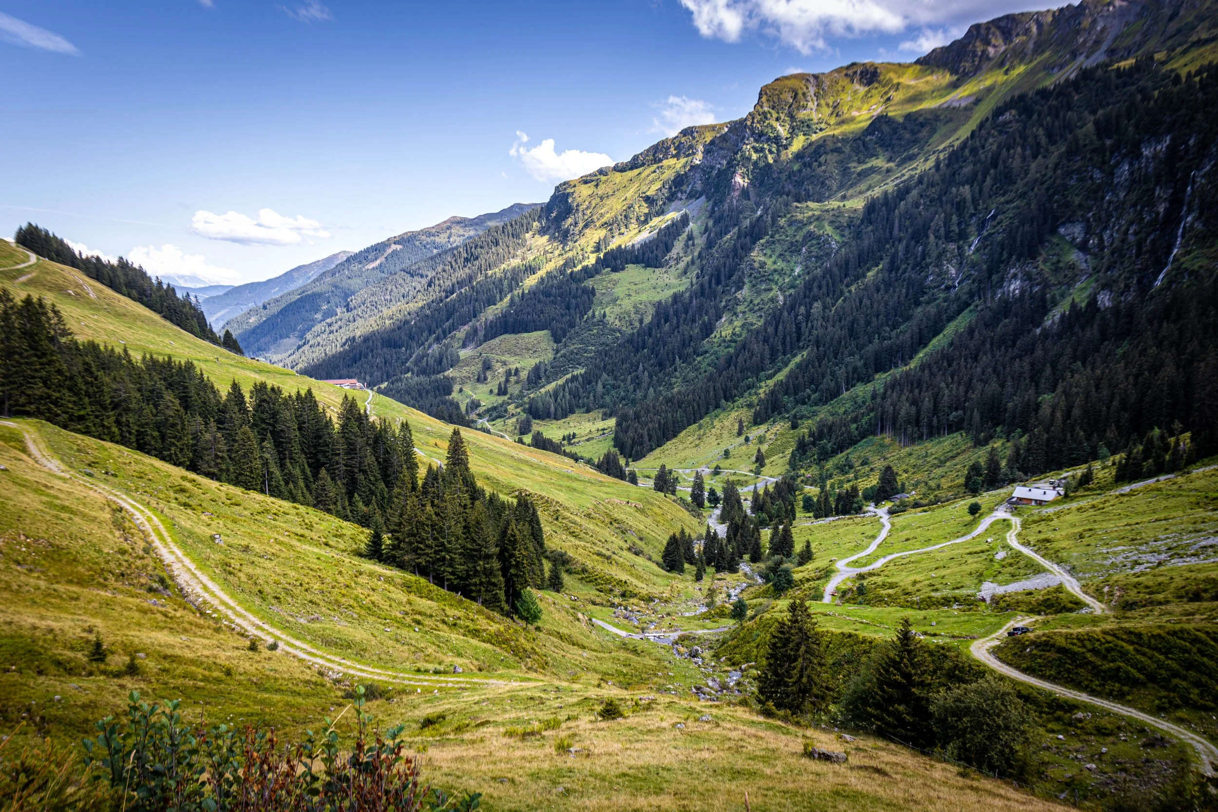 _TB_4769.jpg