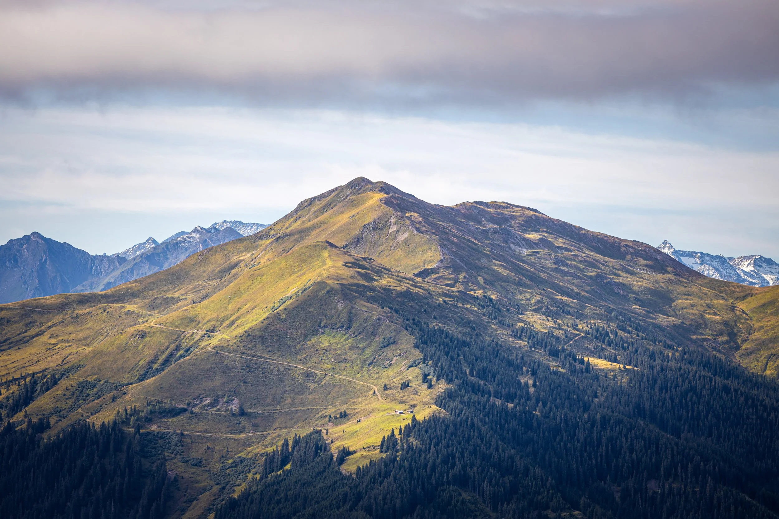 _TB_2988.jpg