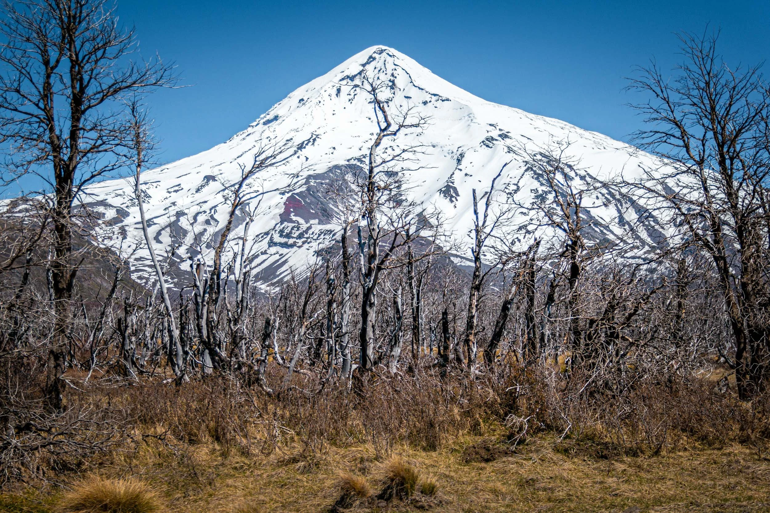 Alpen2020-10.jpg