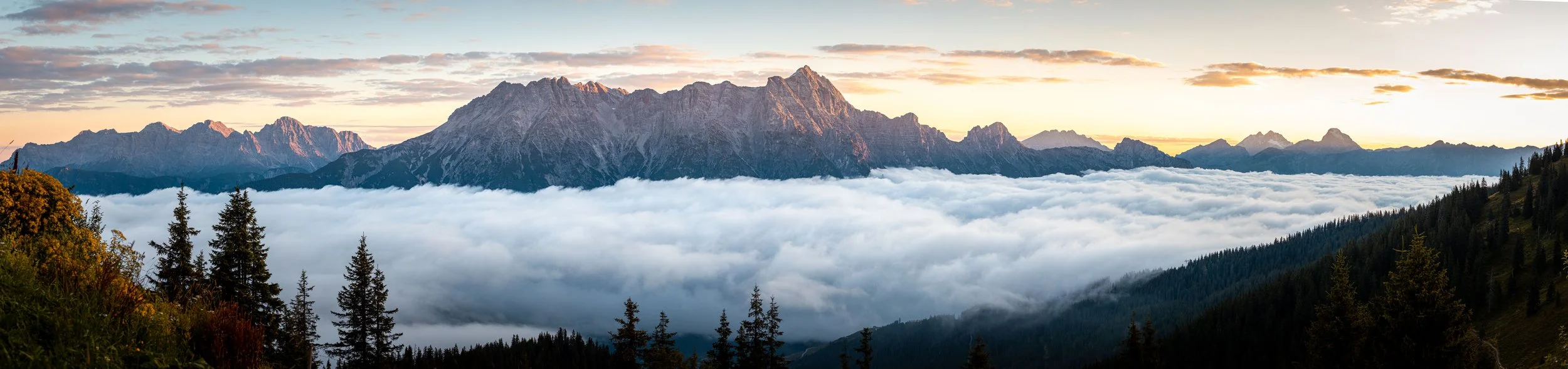 _TB_1151-Pano.jpg