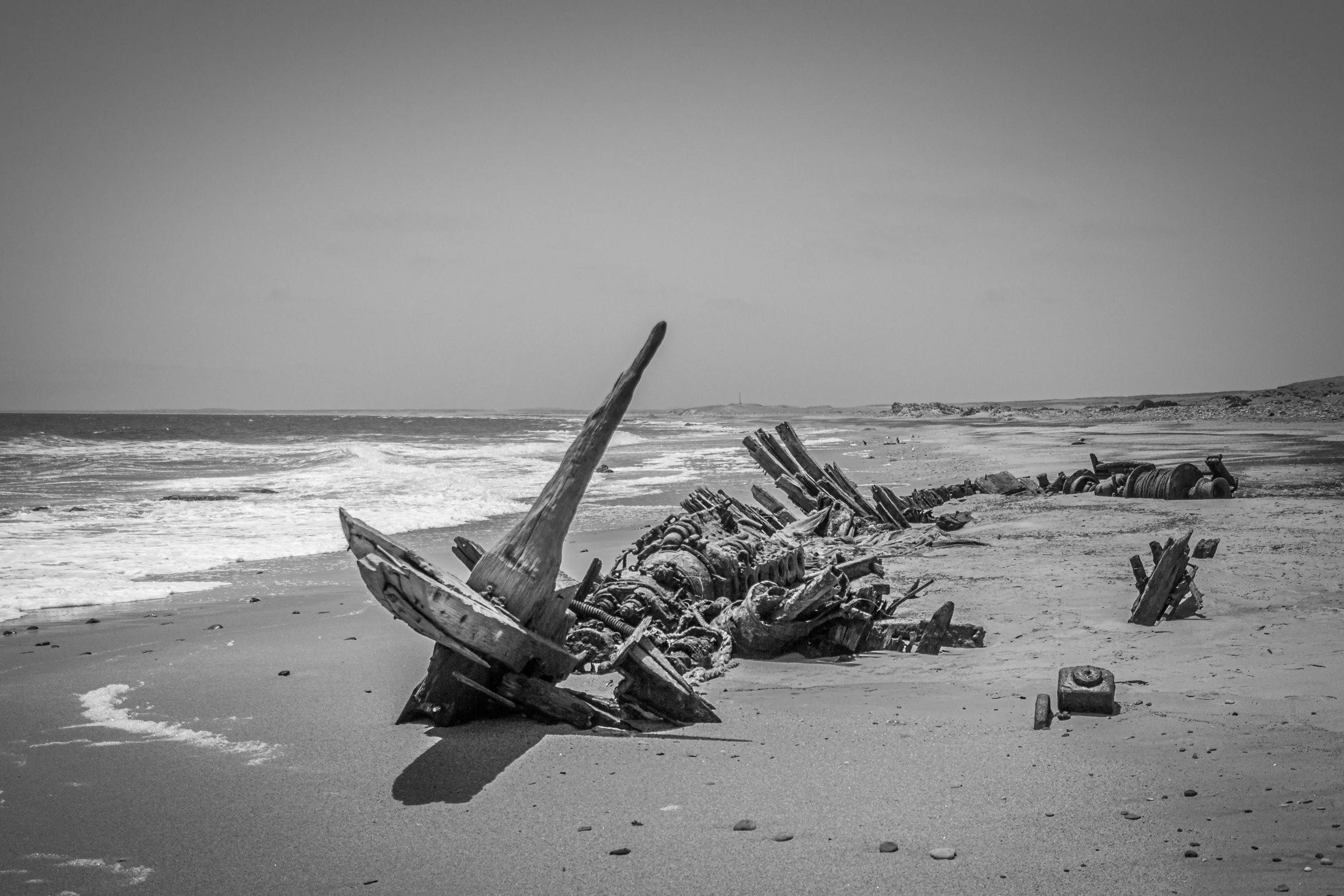 IMG_3013.jpg