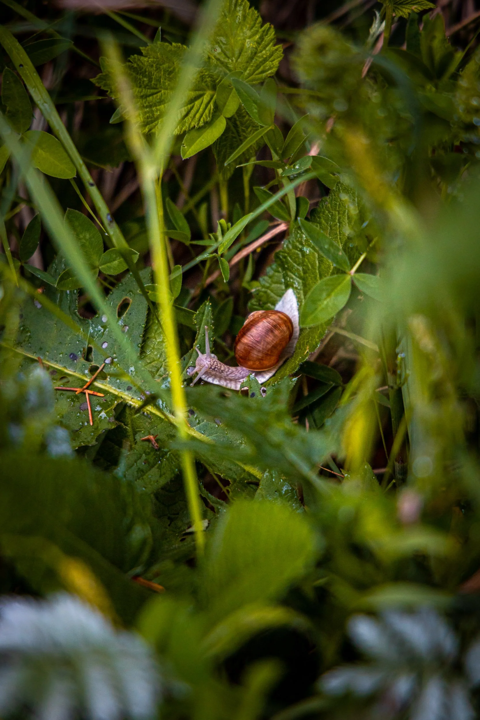 _BU_9641.jpg