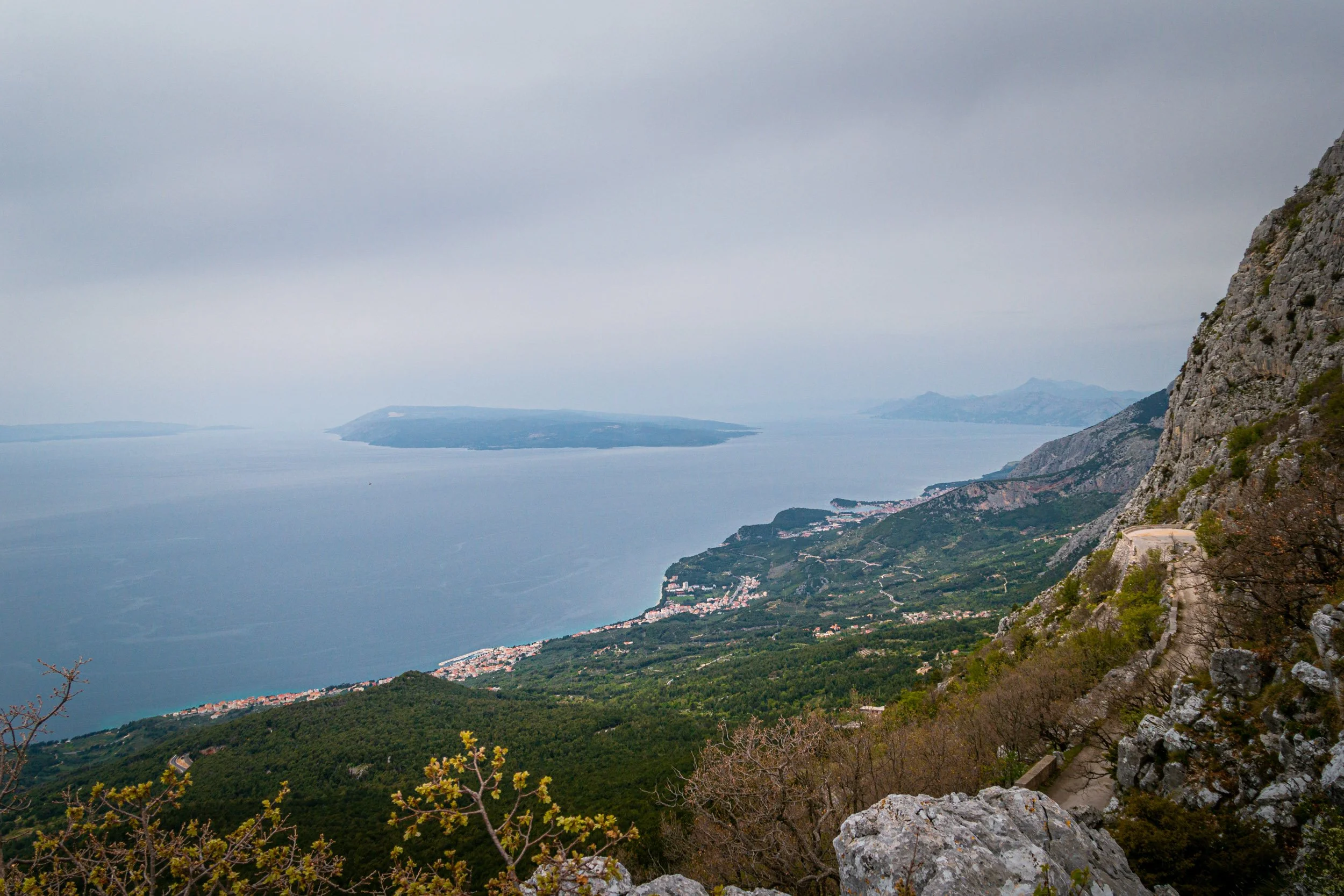 IMG_7110.jpg