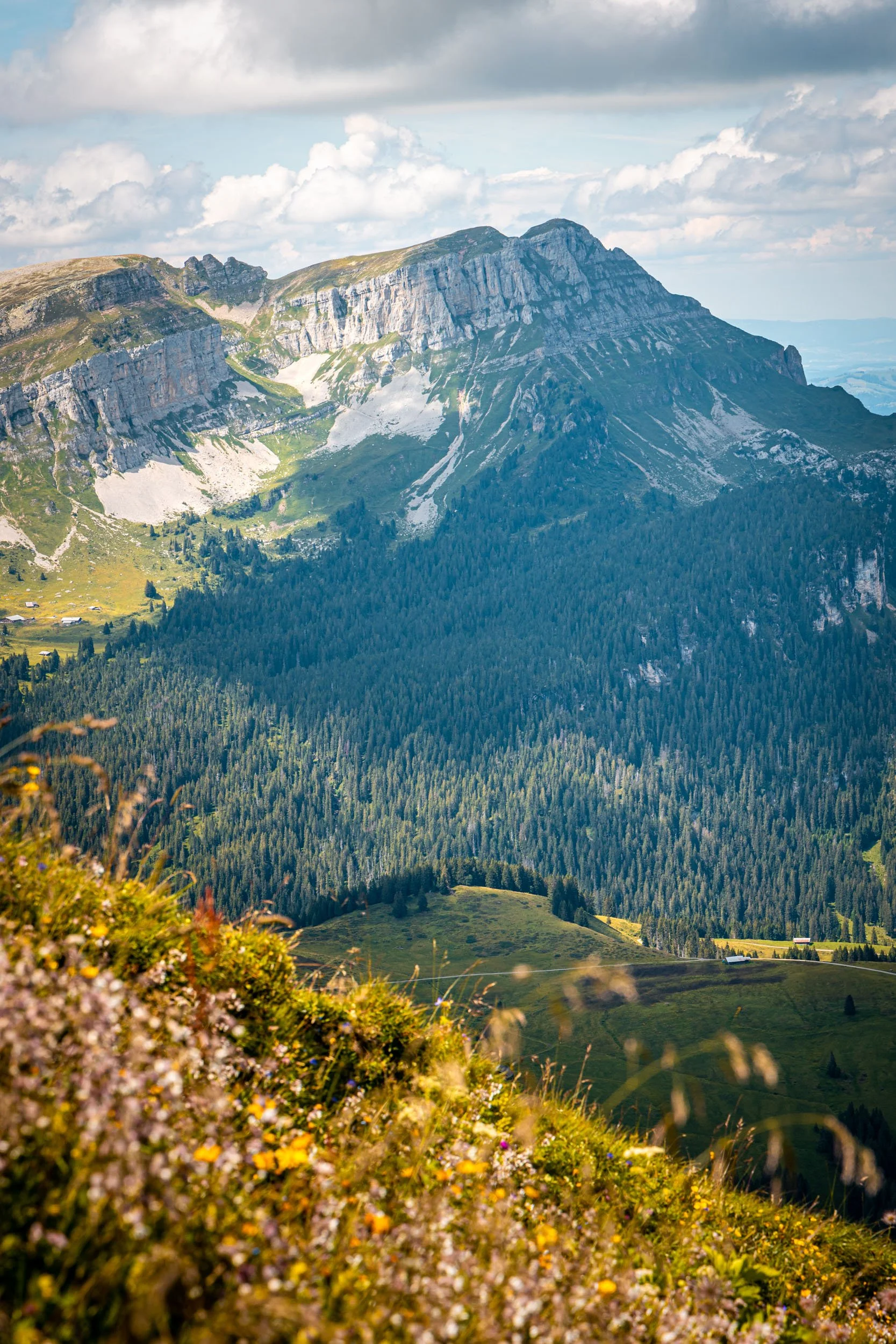 Alpen2020-15.jpg