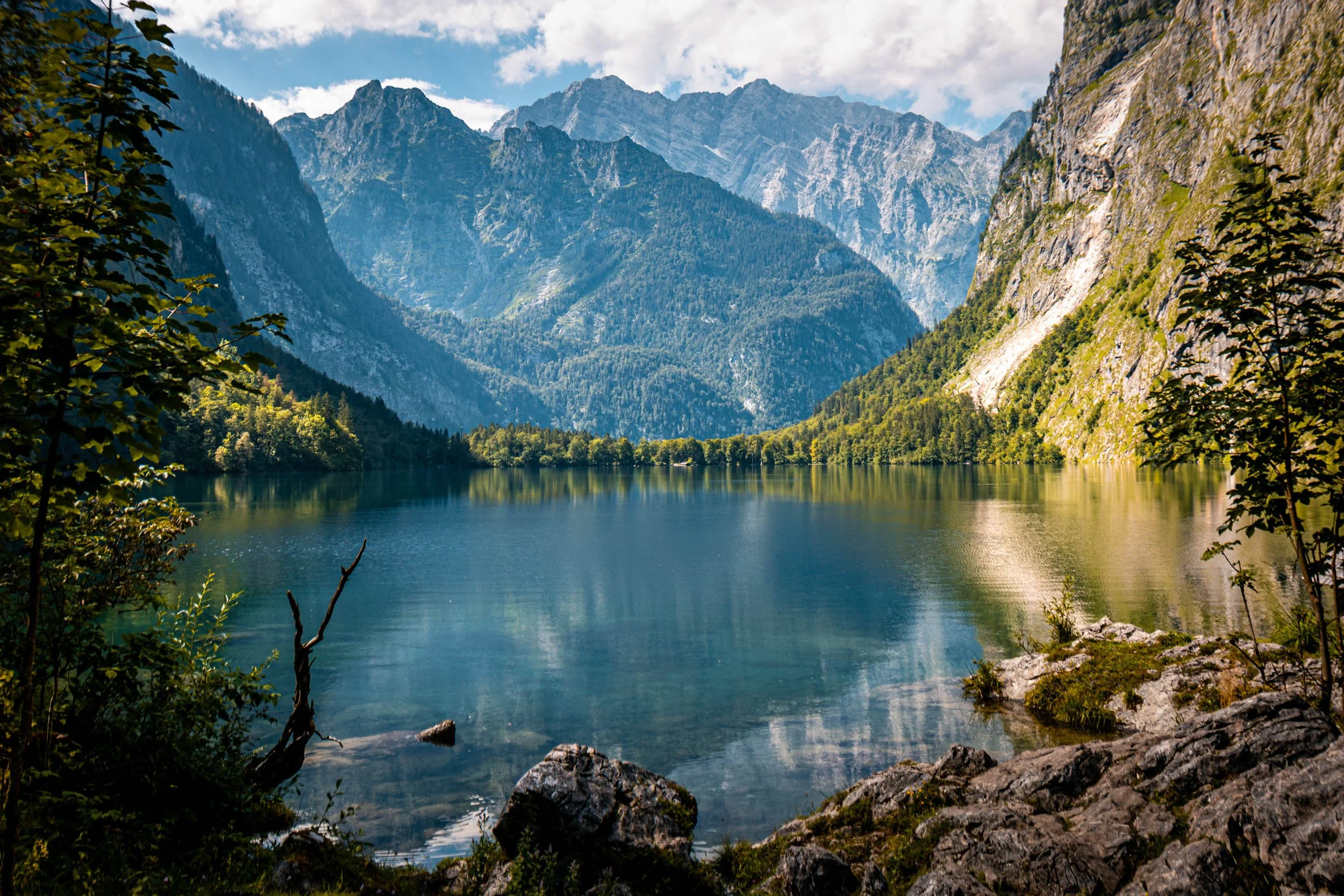 Alpen2020-200.jpg