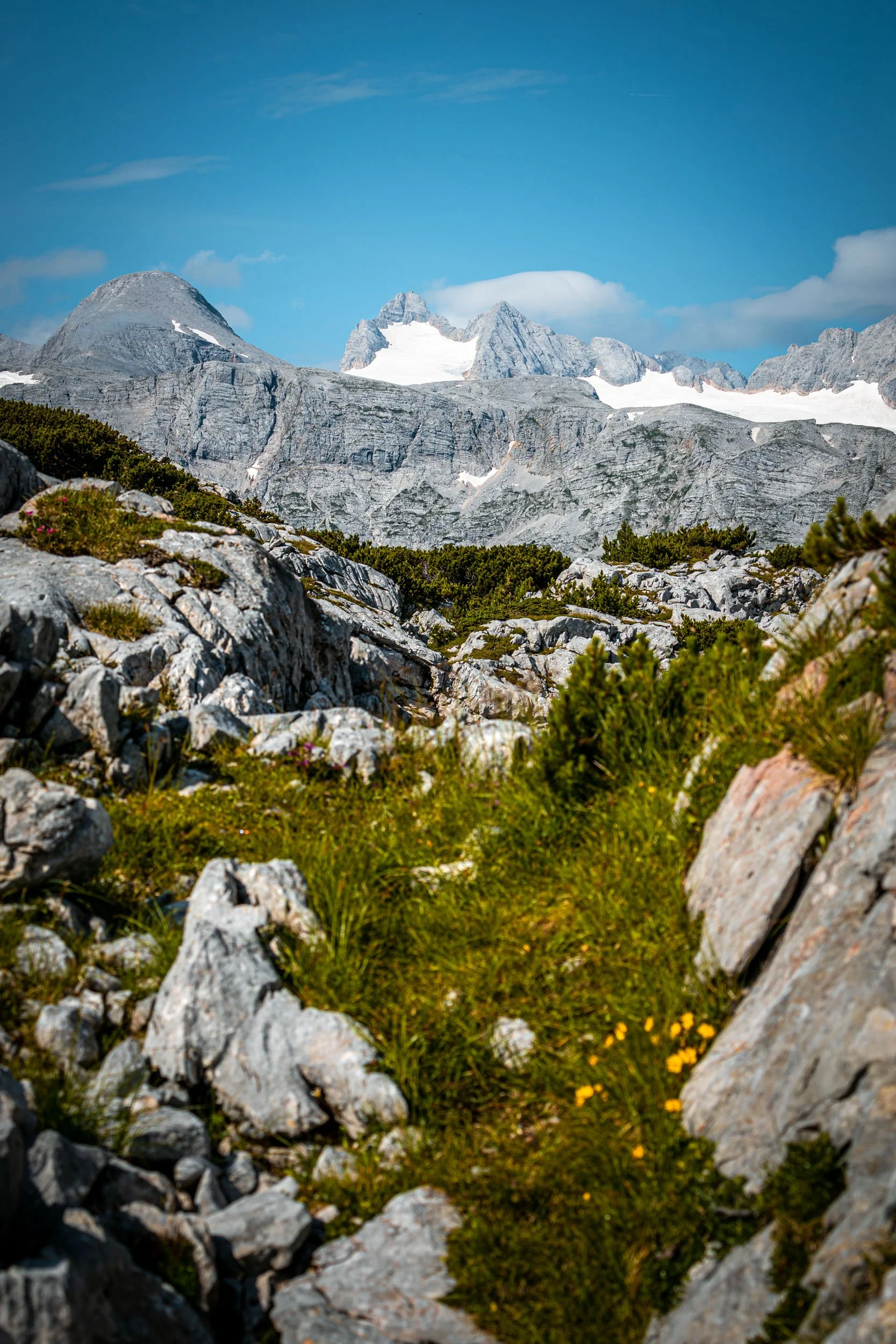 Alpen2020-186.jpg