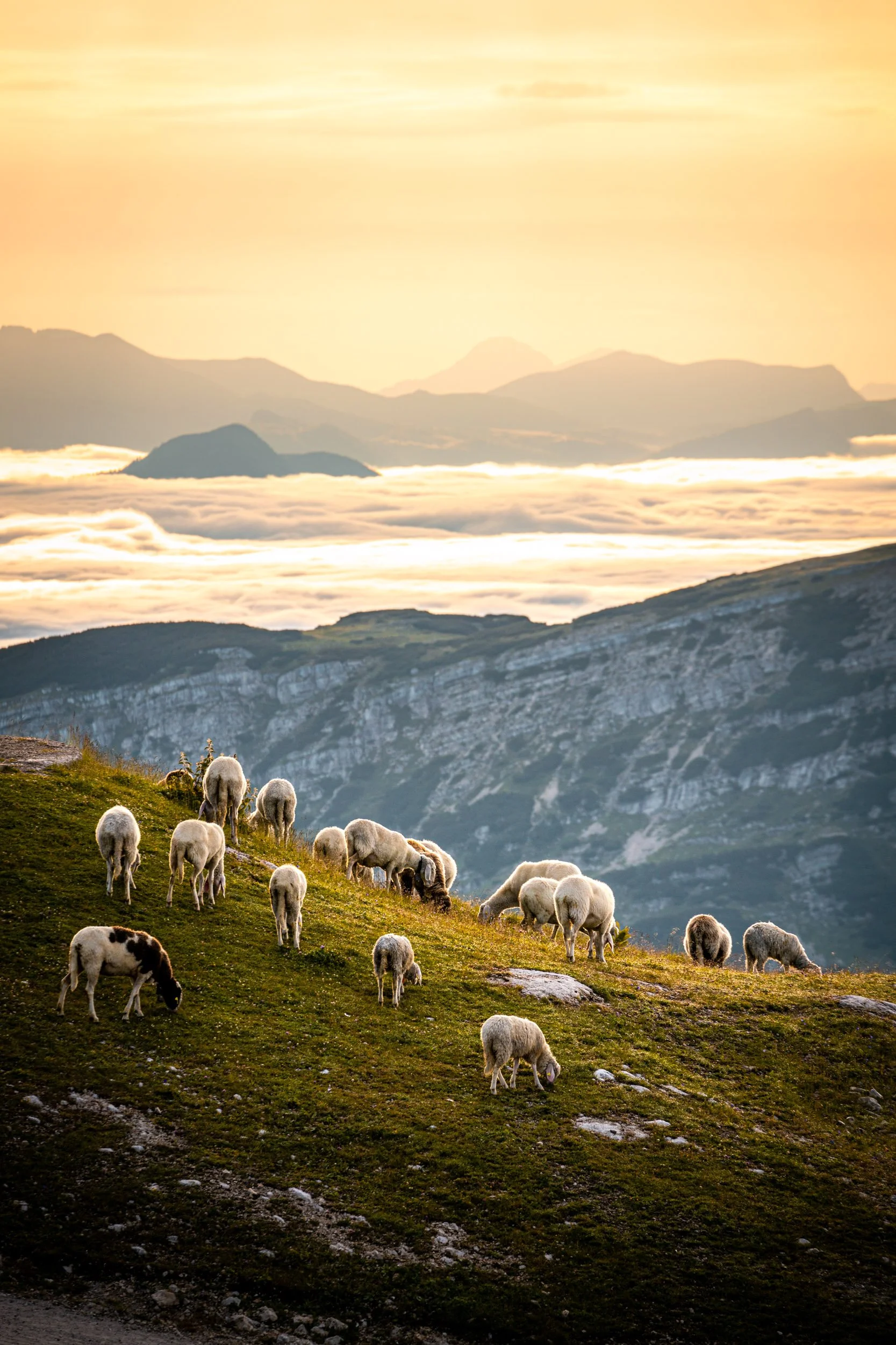 Alpen2020-179.jpg