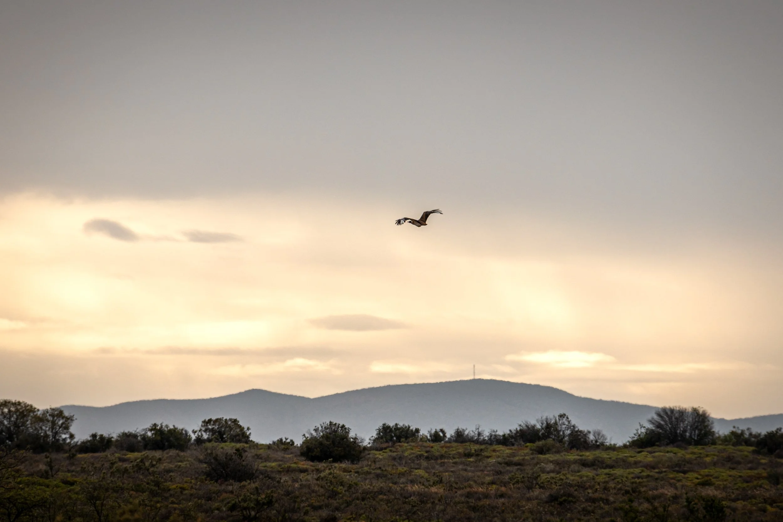 _BU_4004.jpg
