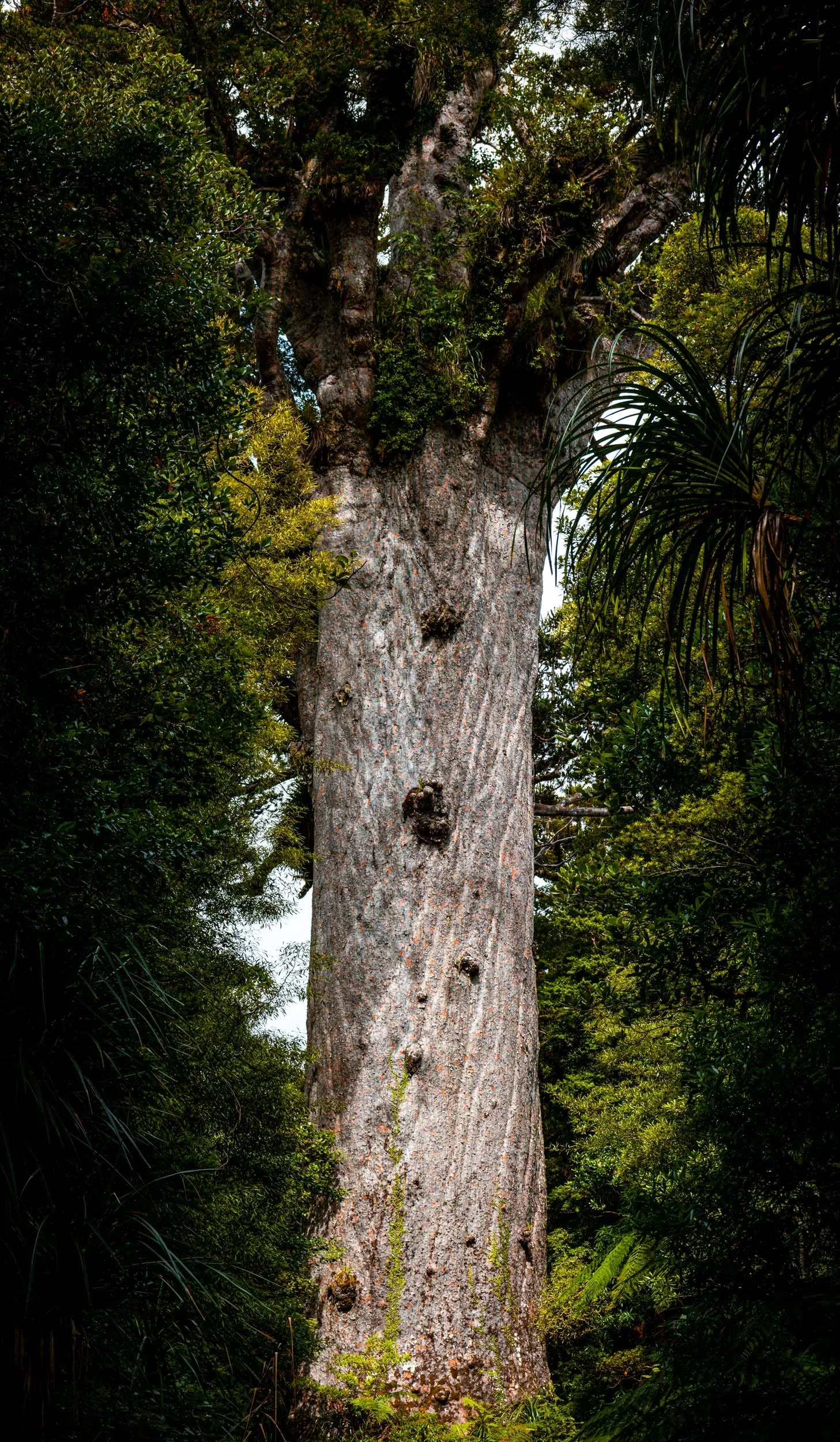 IMG_5036-Pano.jpg