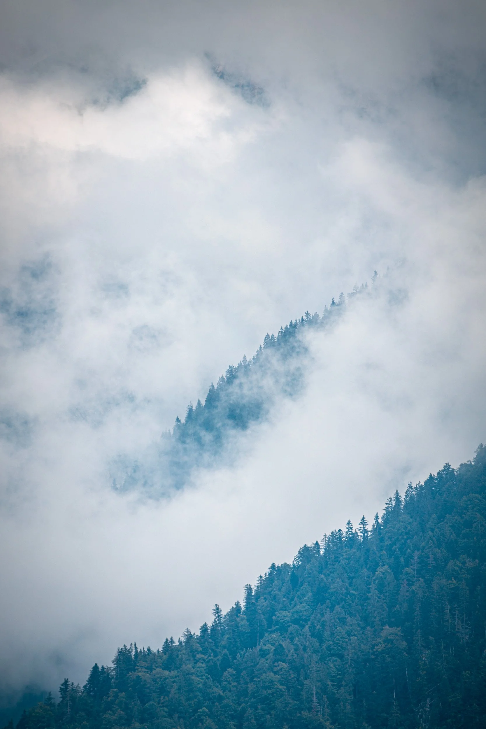 Alpen2020-1.jpg