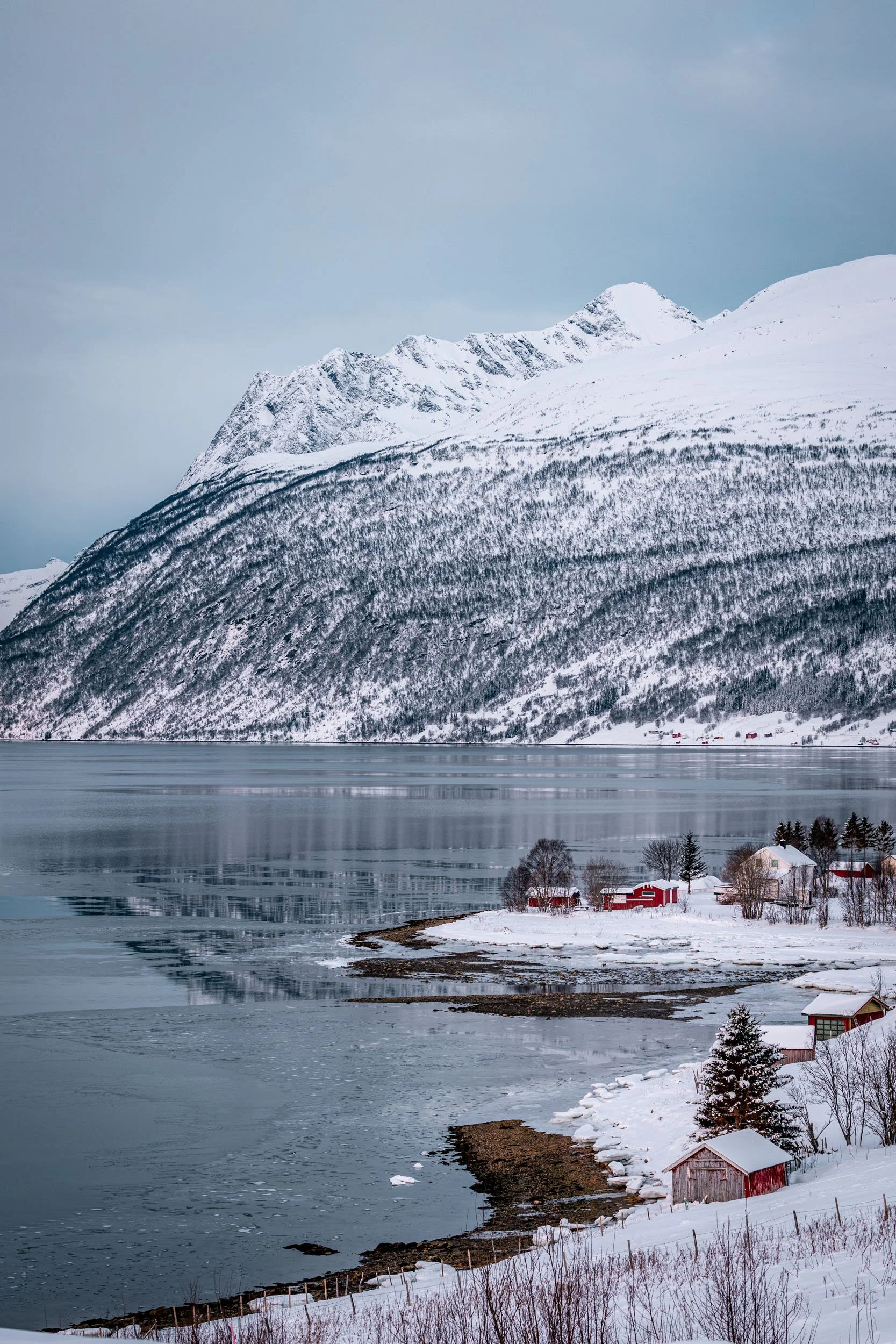 Lofoten-18.jpg