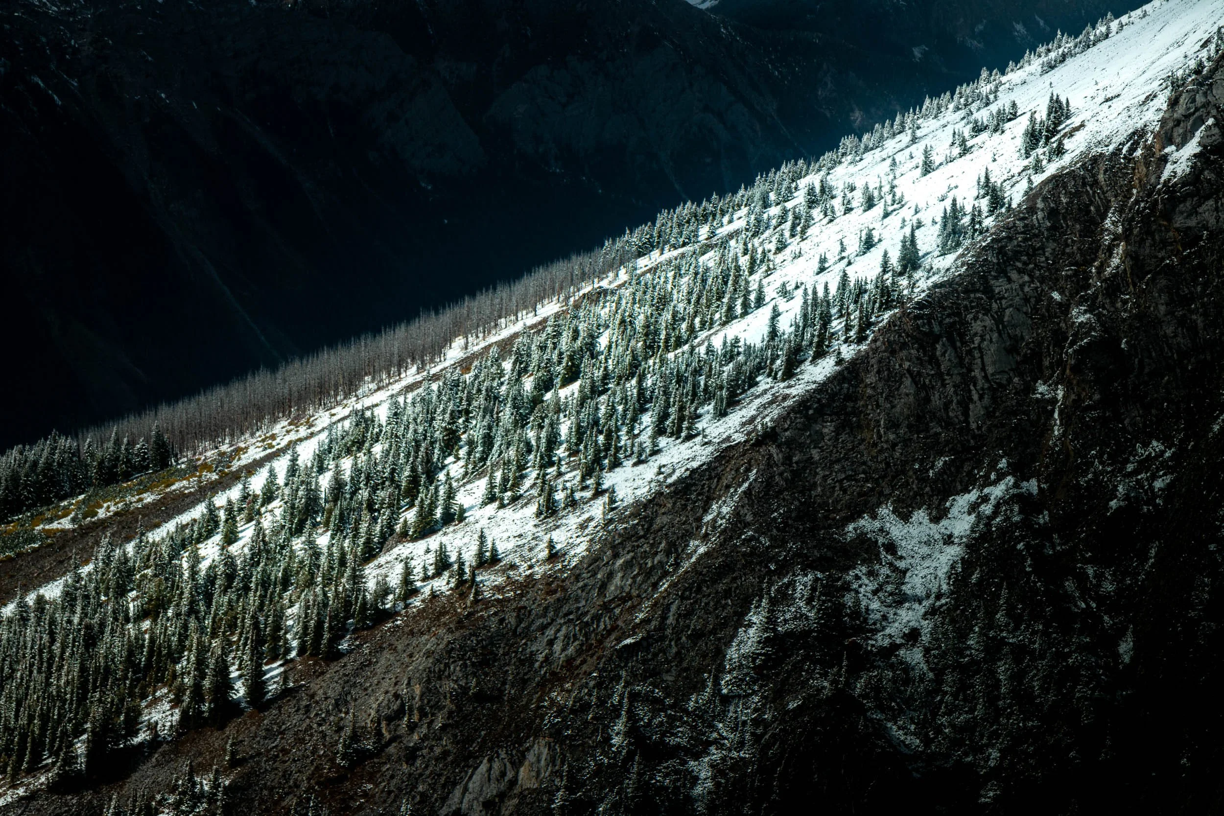 Canada West-61.jpg