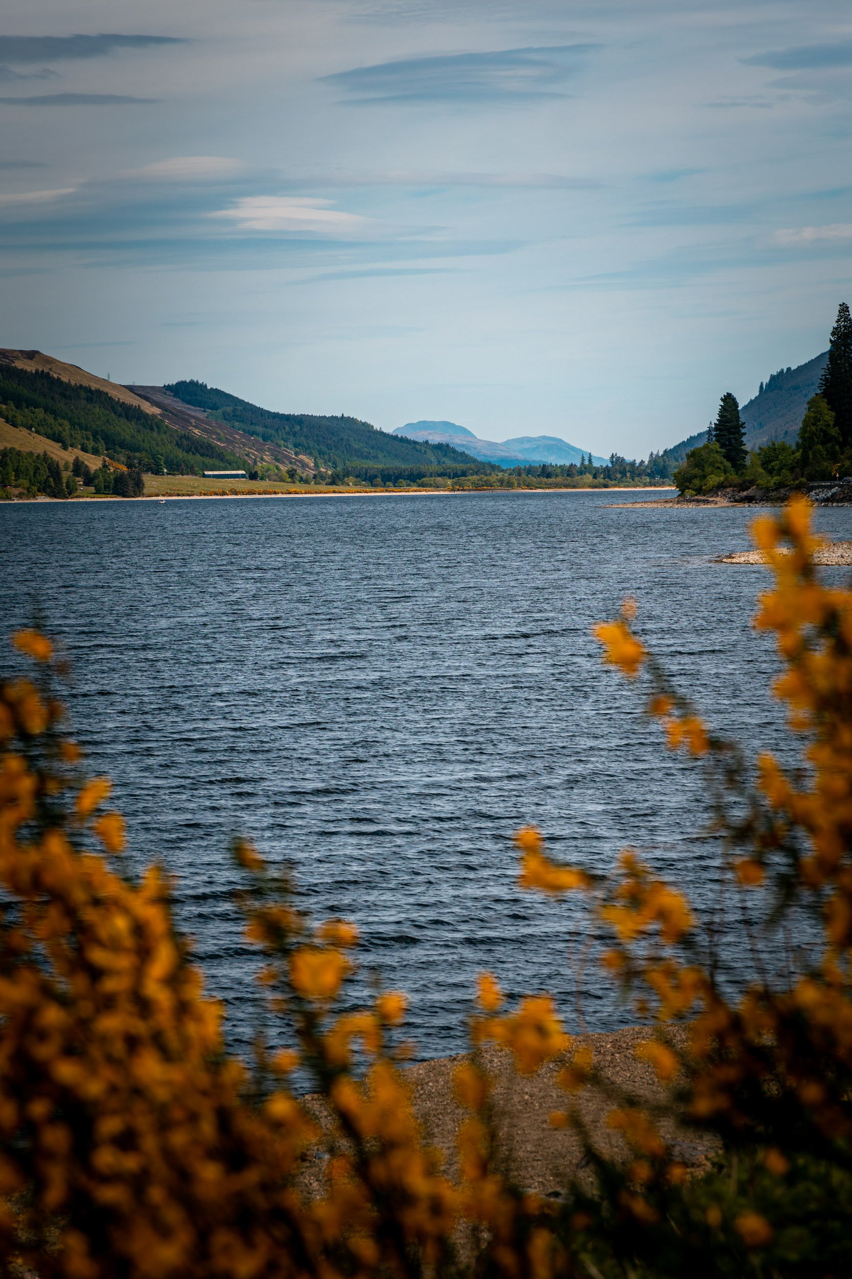 _BU_5720.jpg