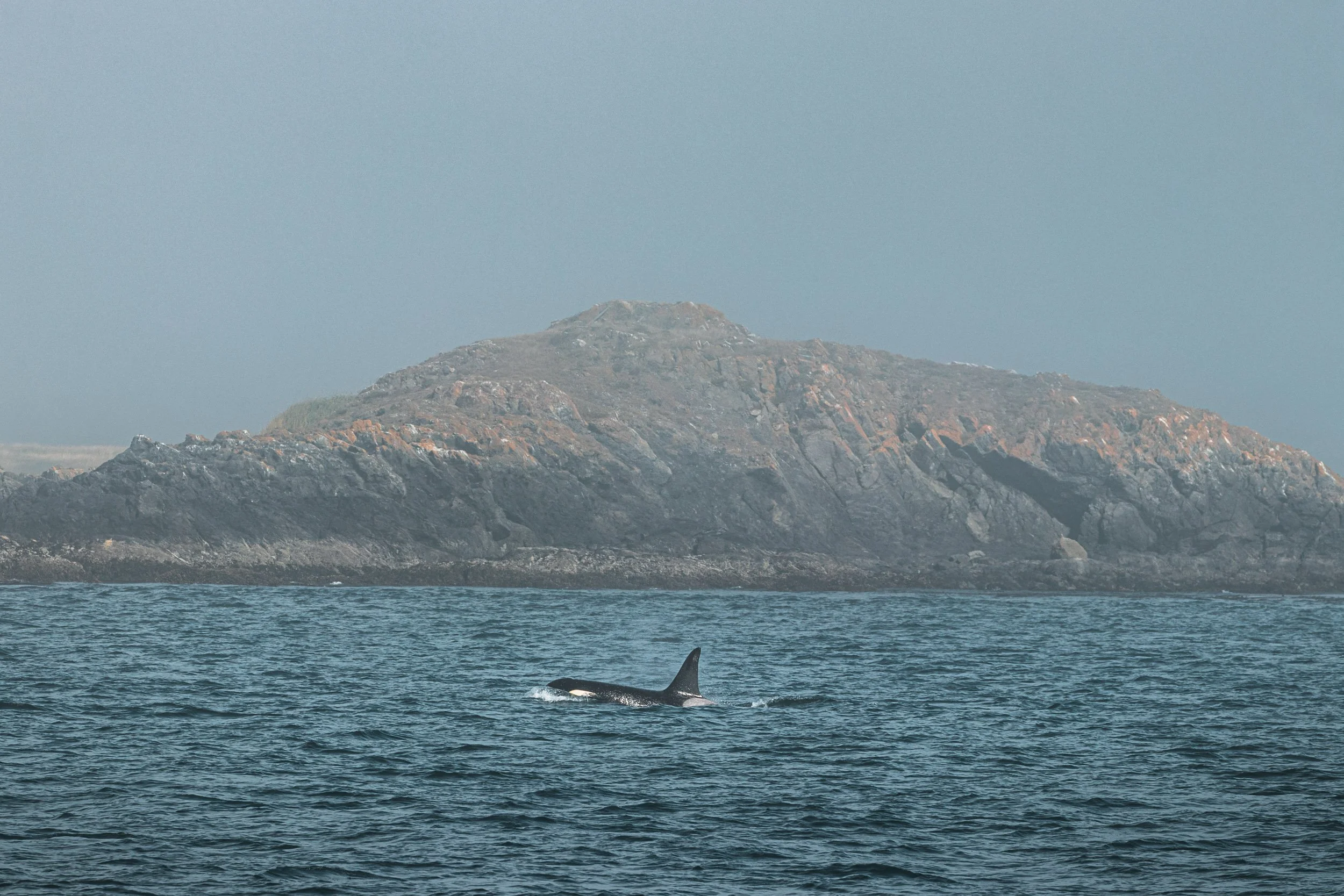 Canada West-86.jpg