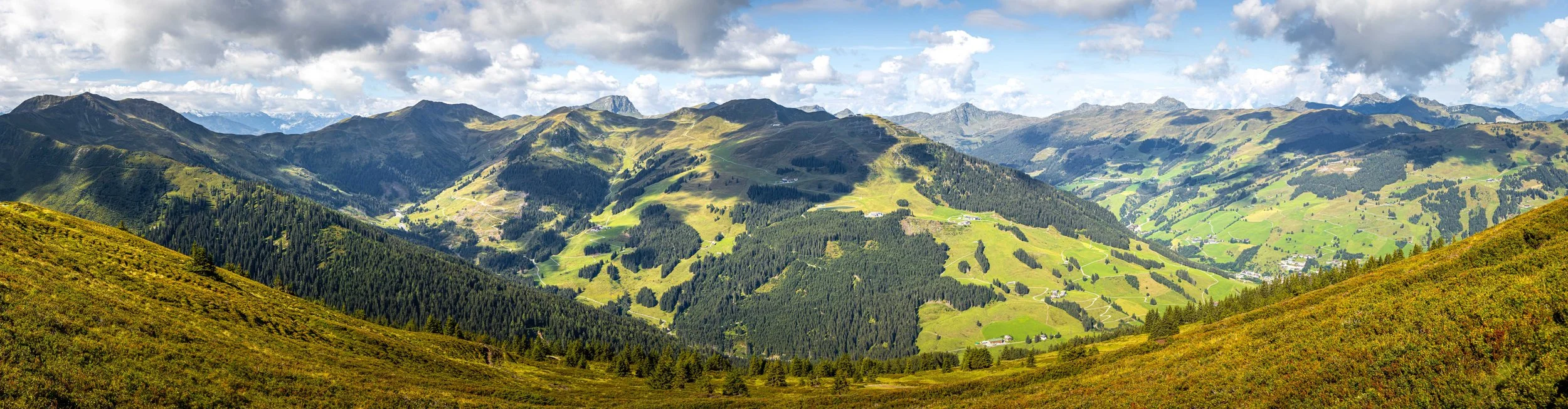 _TB_1564-Pano.jpg