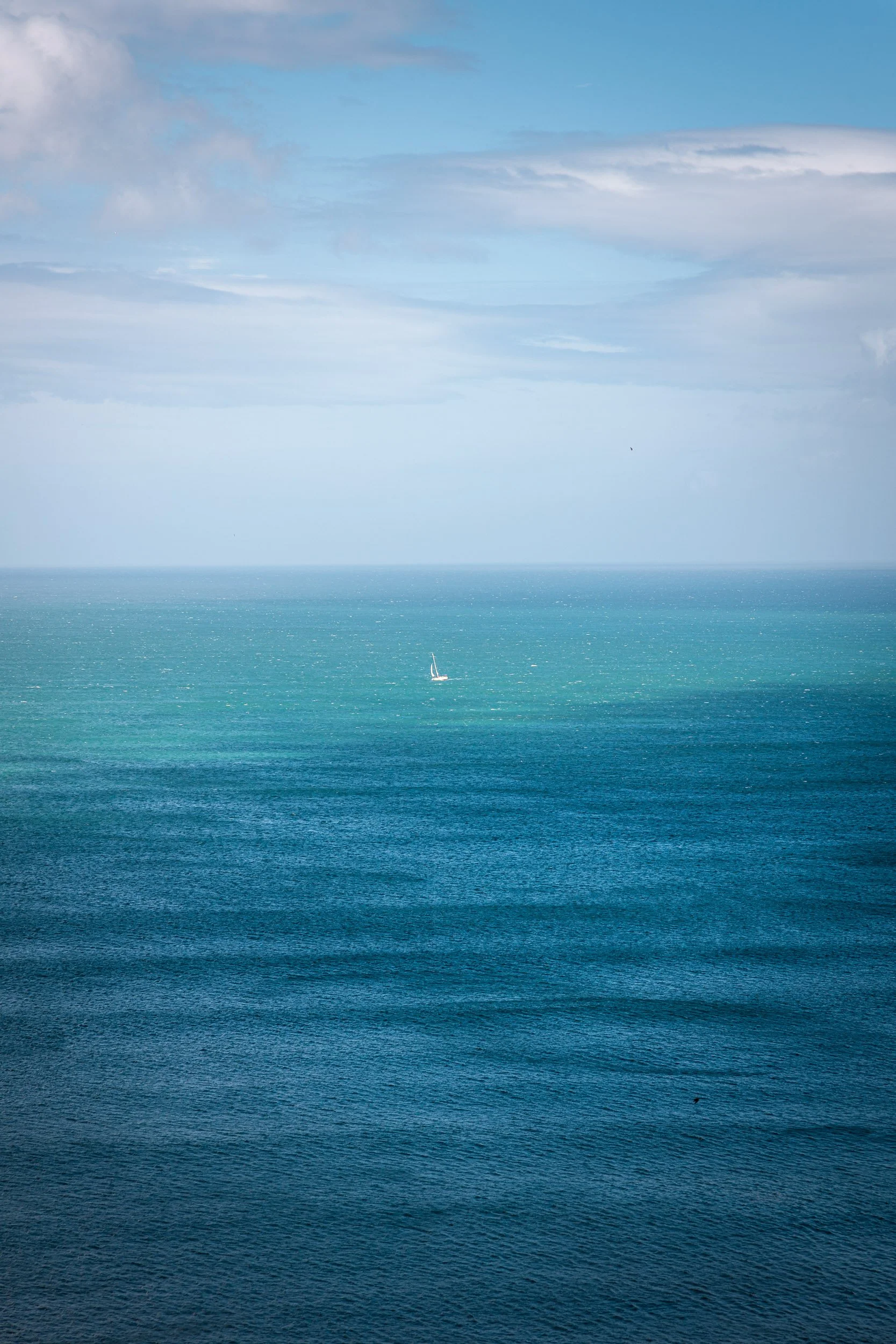 _BU_9475.jpg