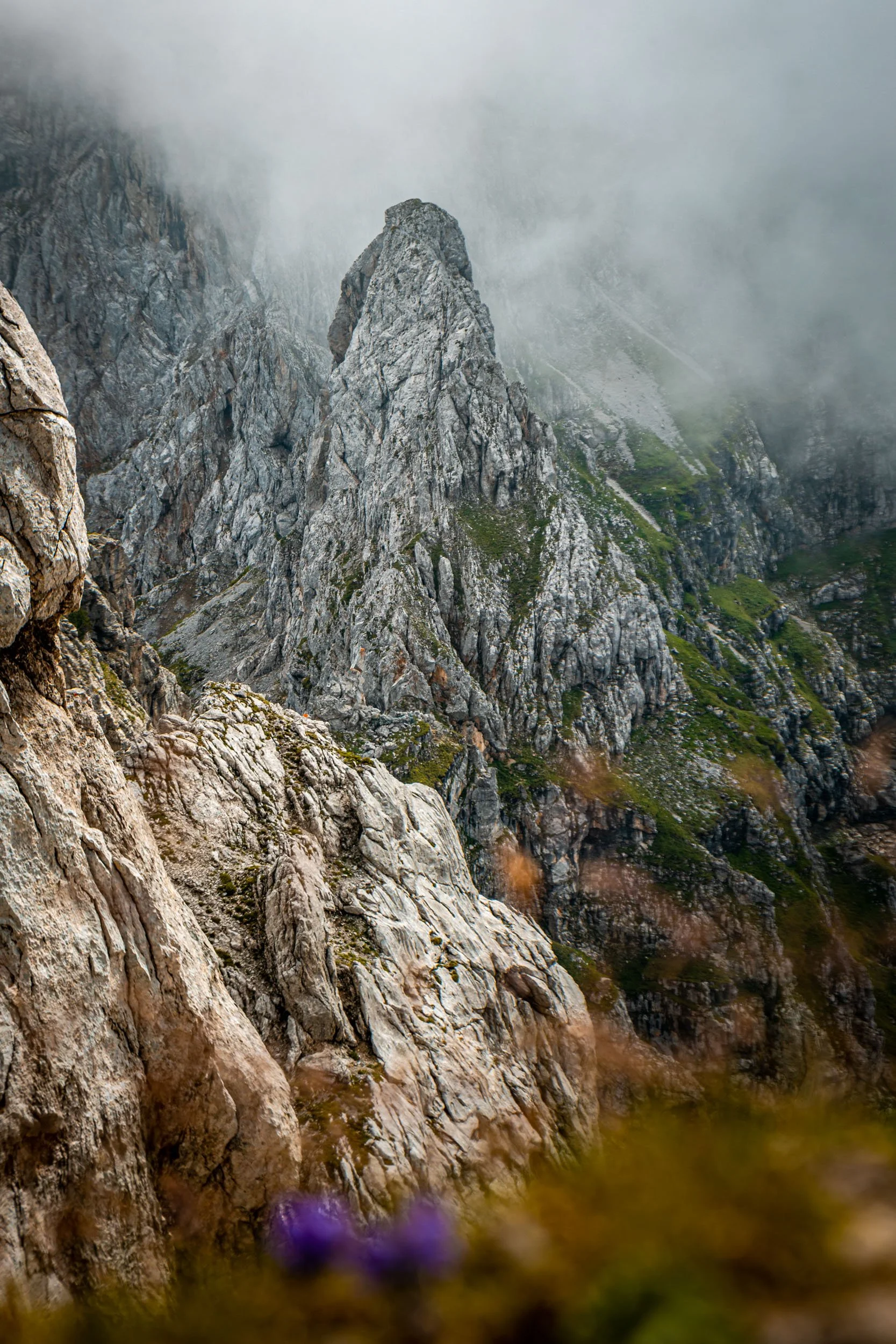 Alpen2020-160.jpg