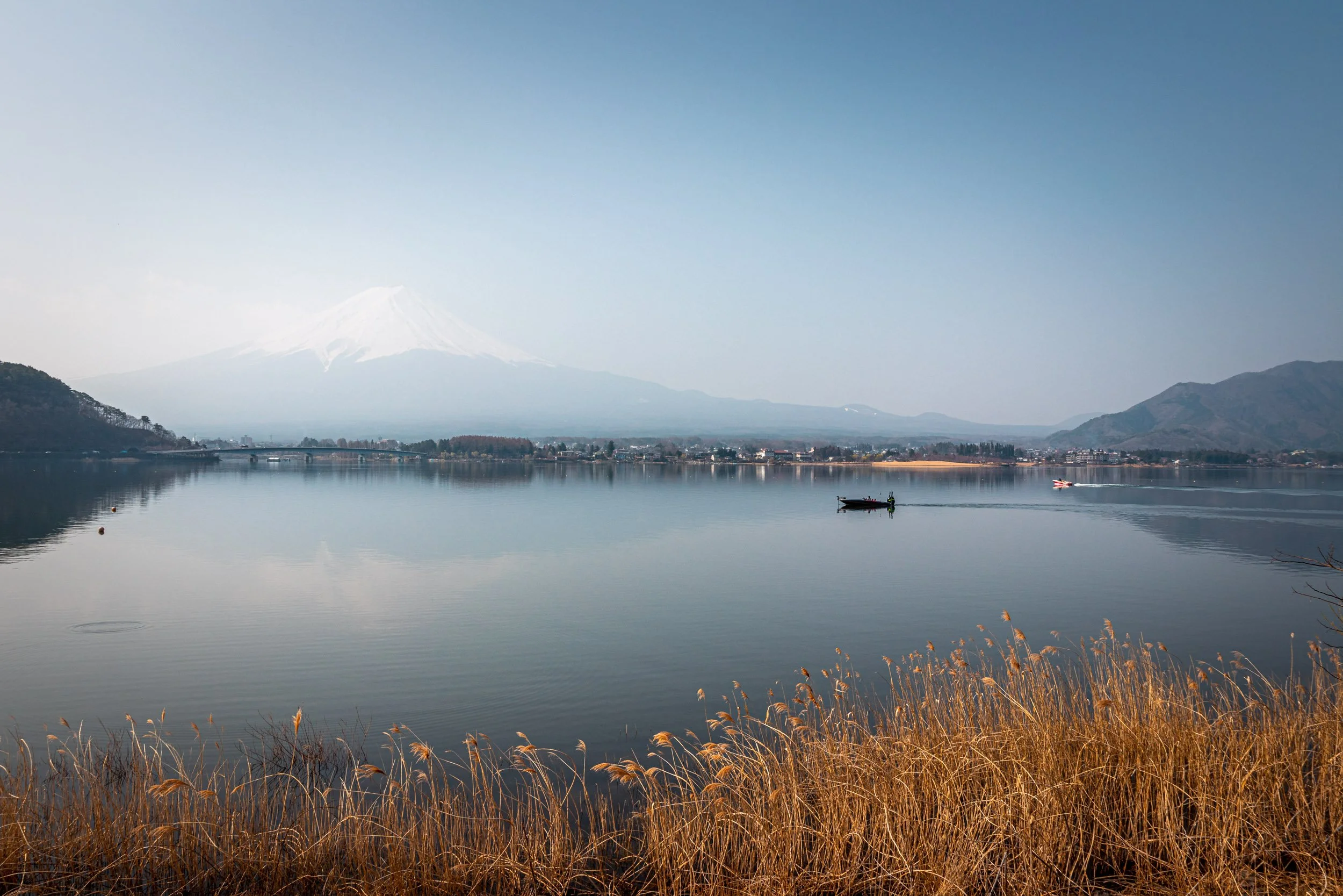 IMG_5865.jpg
