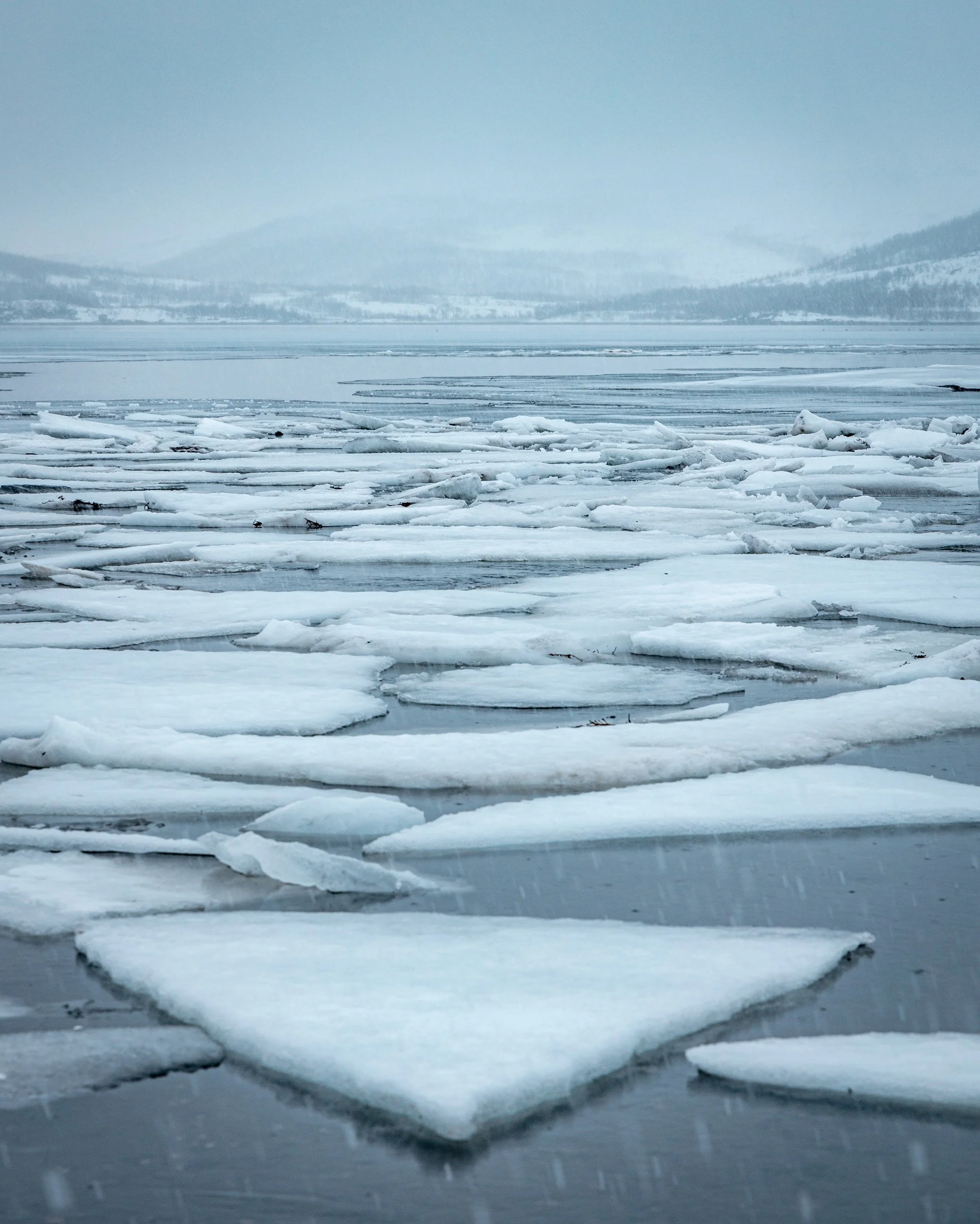Lofoten-66.jpg