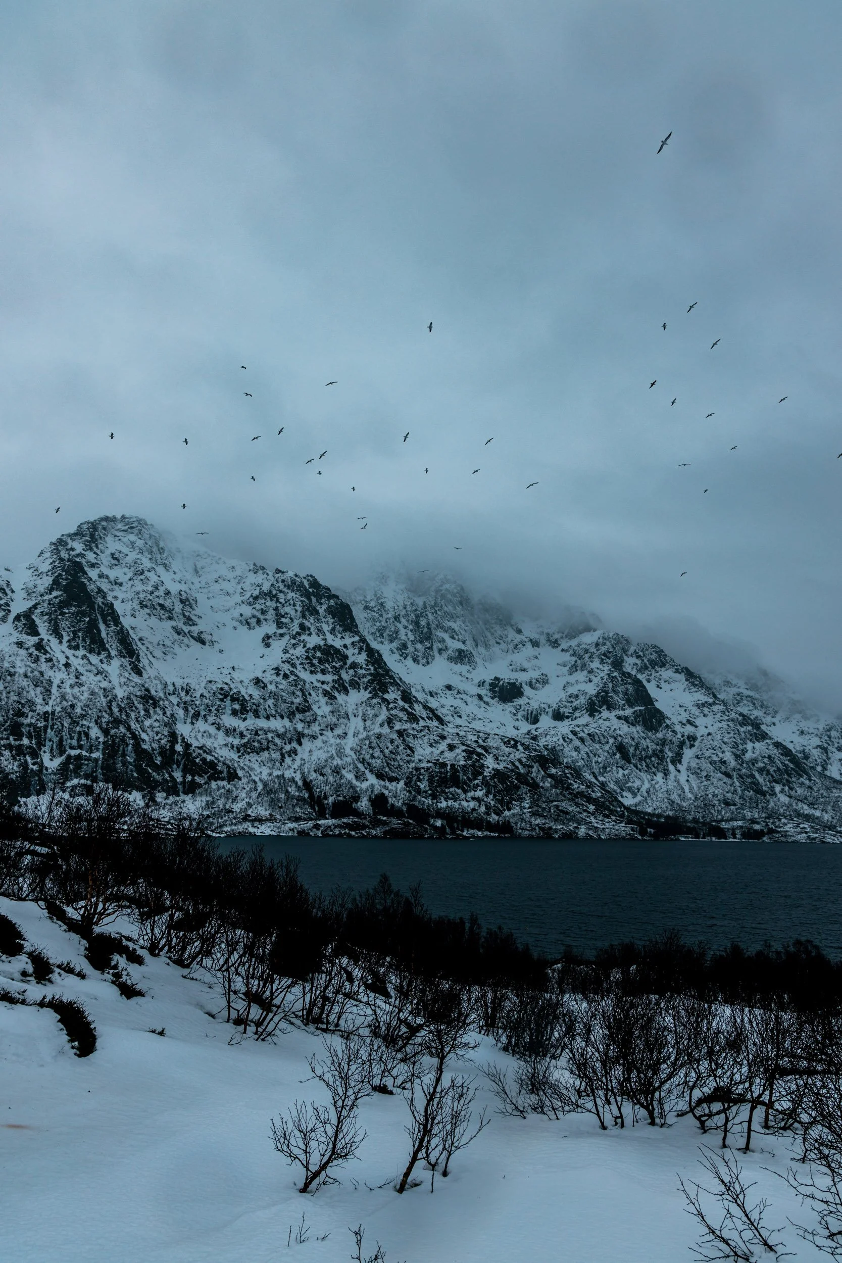 Lofoten-36.jpg