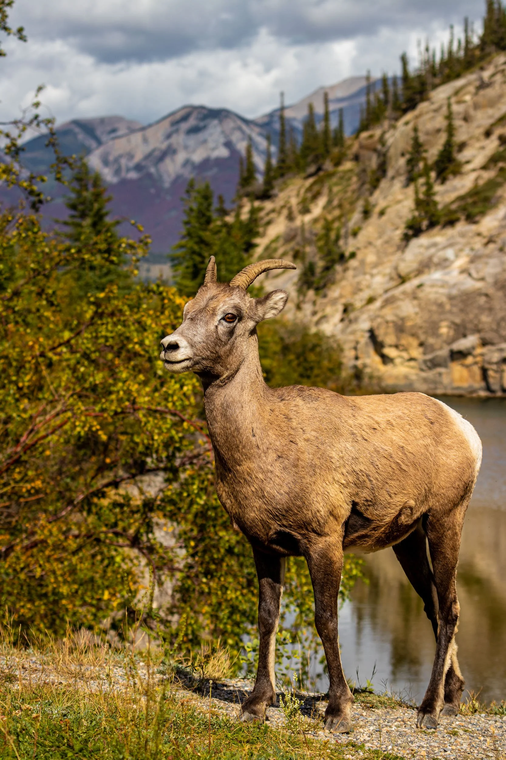 Canada West-2.jpg