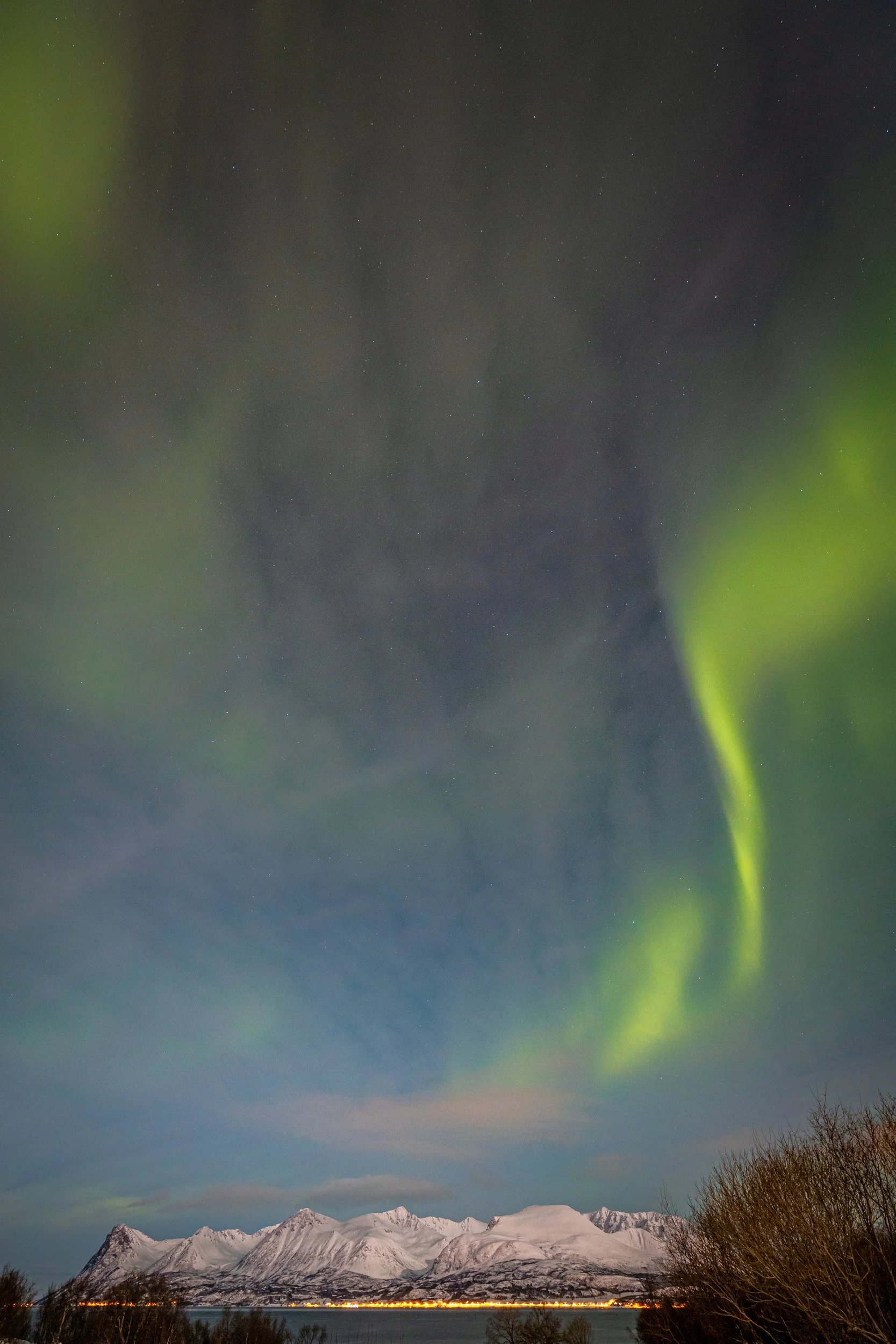 Lofoten-32.jpg