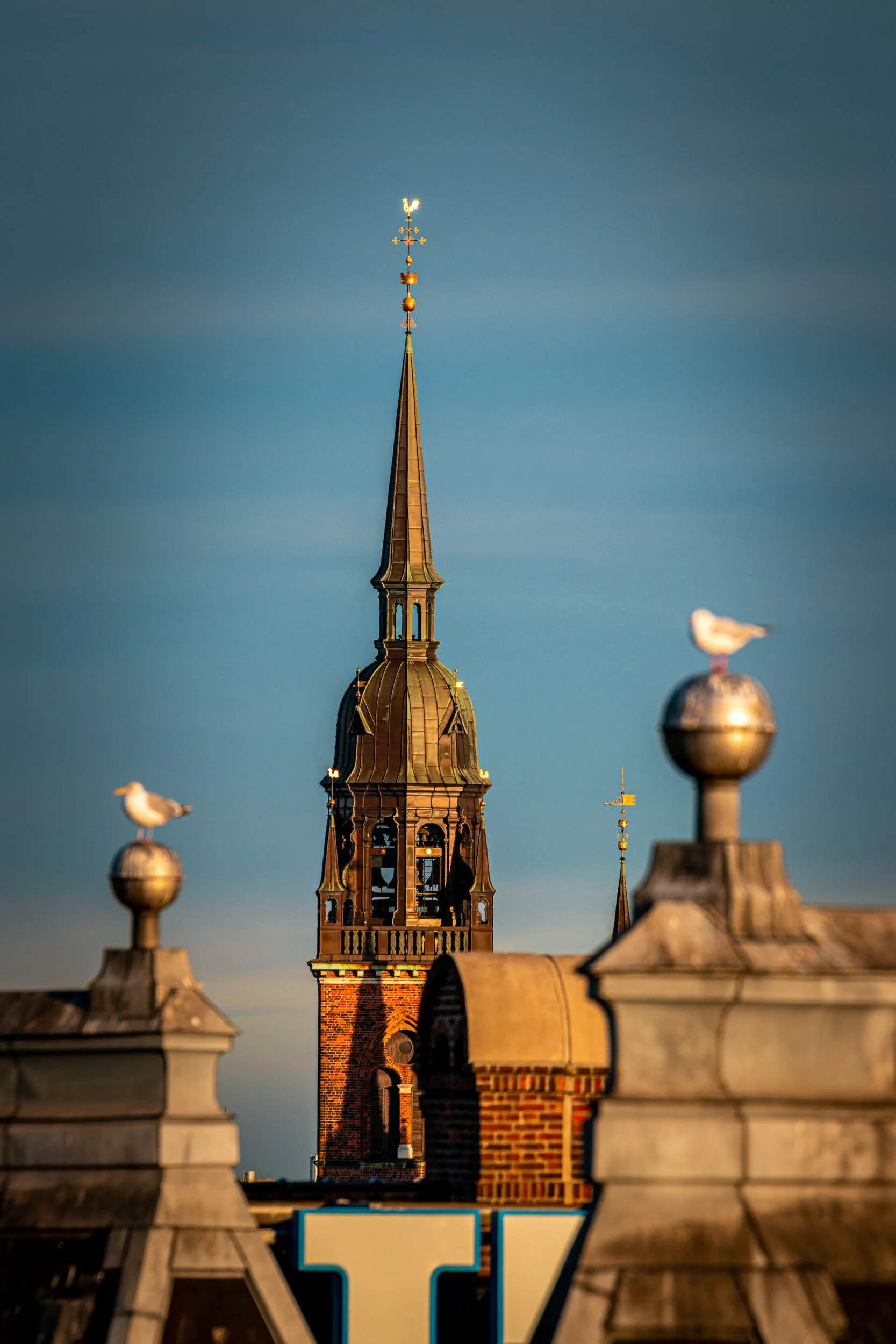 IMG_8880.jpg