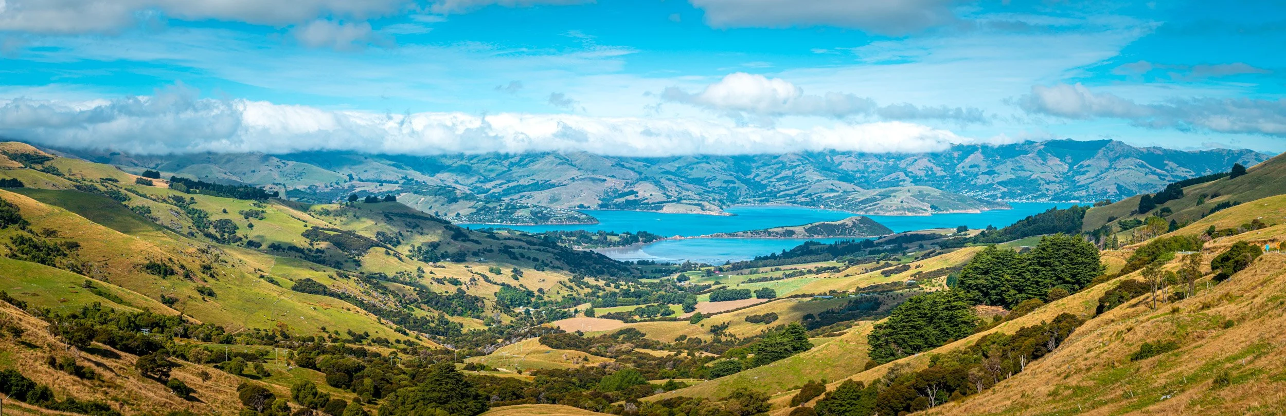 IMG_3747-Pano.jpg