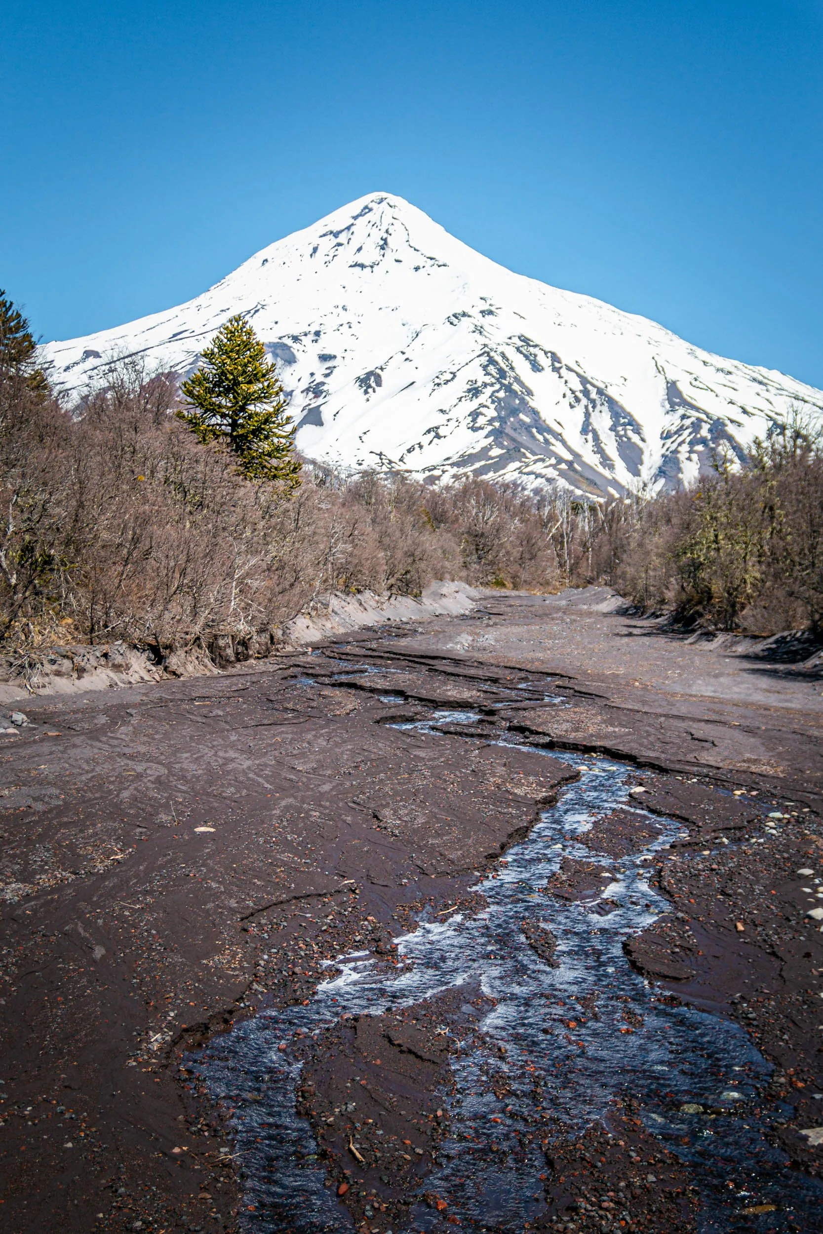 Alpen2020-9.jpg