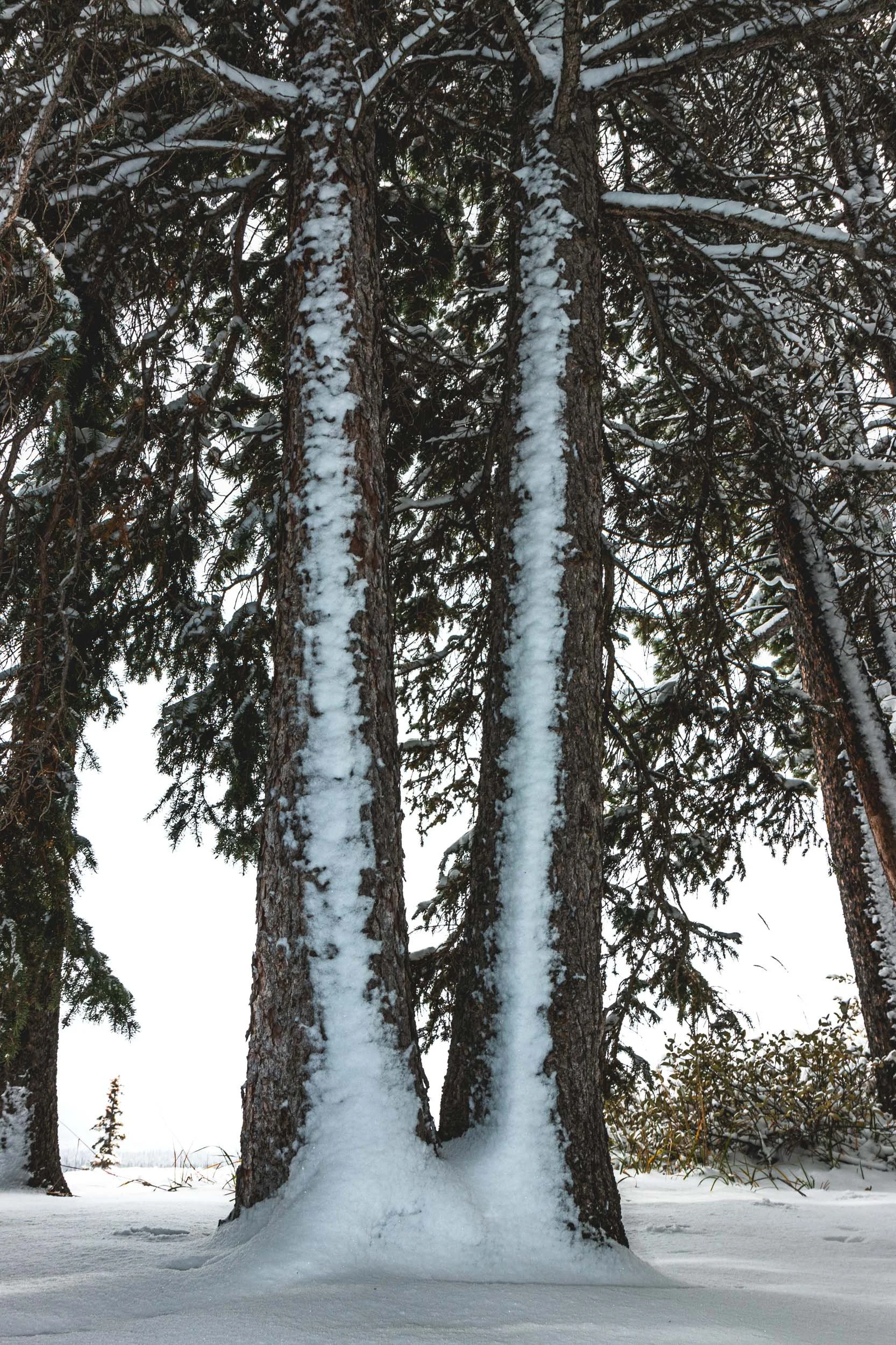 Canada West-17.jpg