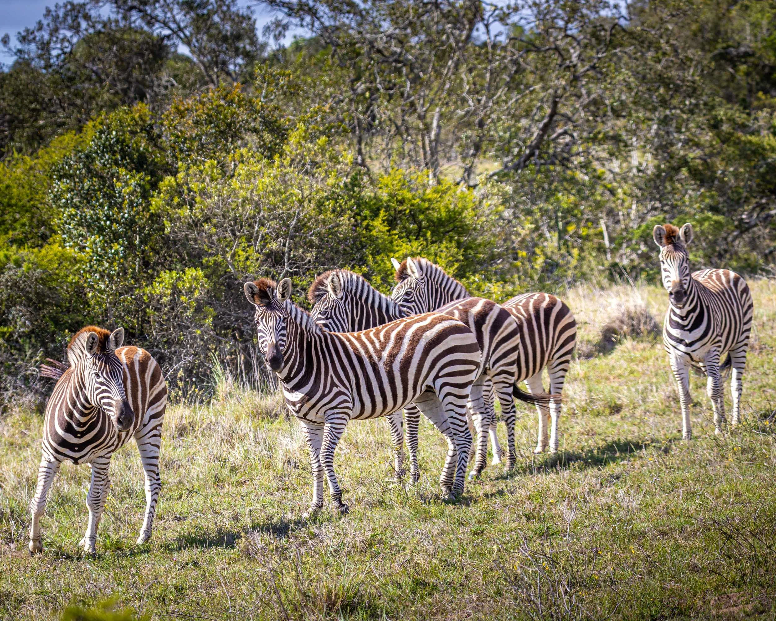 _BU_9926.jpg