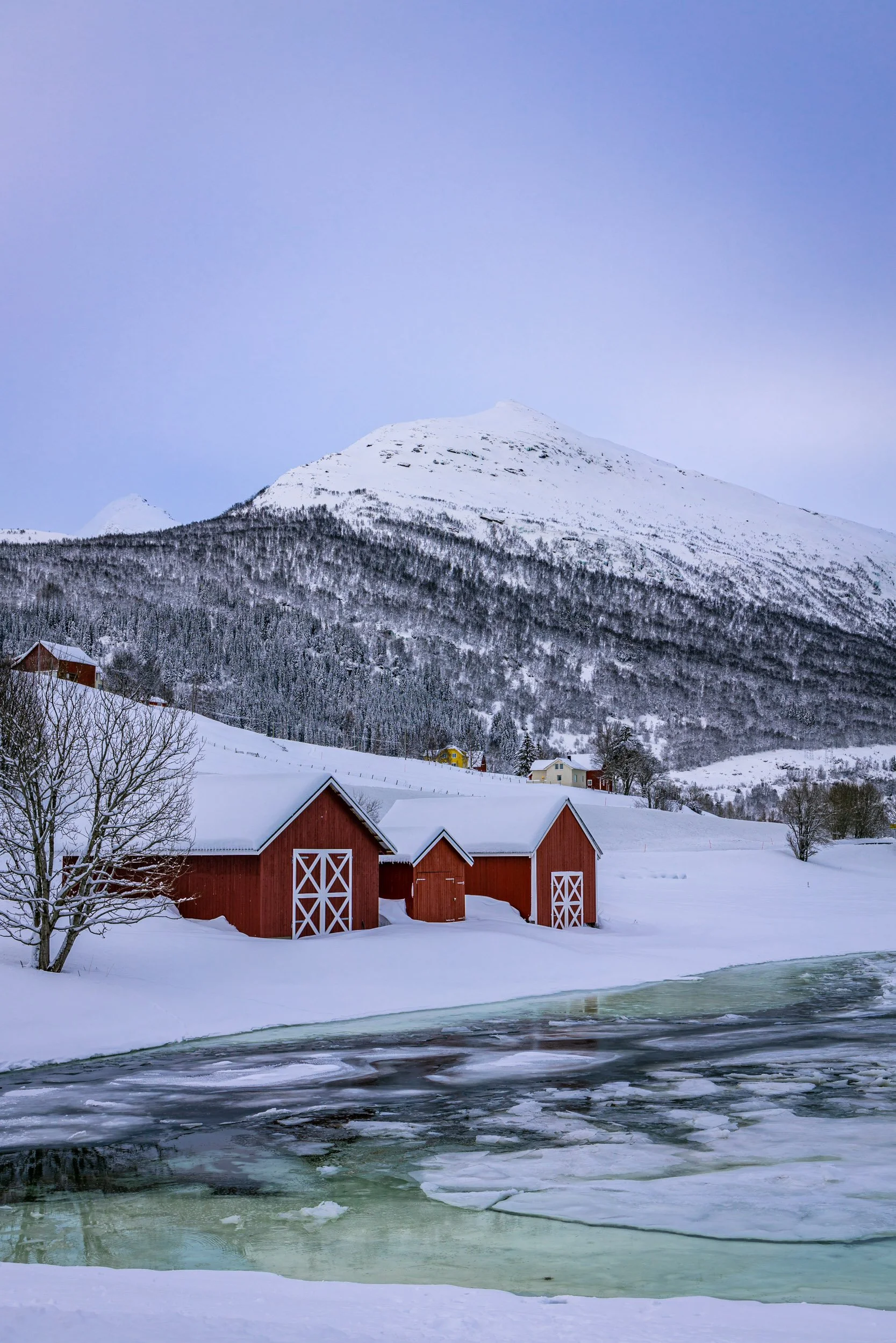 Lofoten-25.jpg