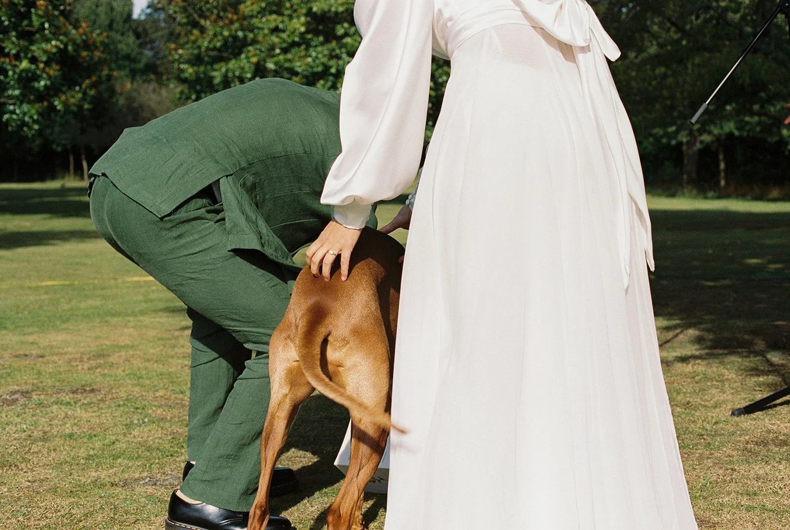 Bride touches her honey coloured dog back while groom kneels in green suit by Montpellier wedding photographer