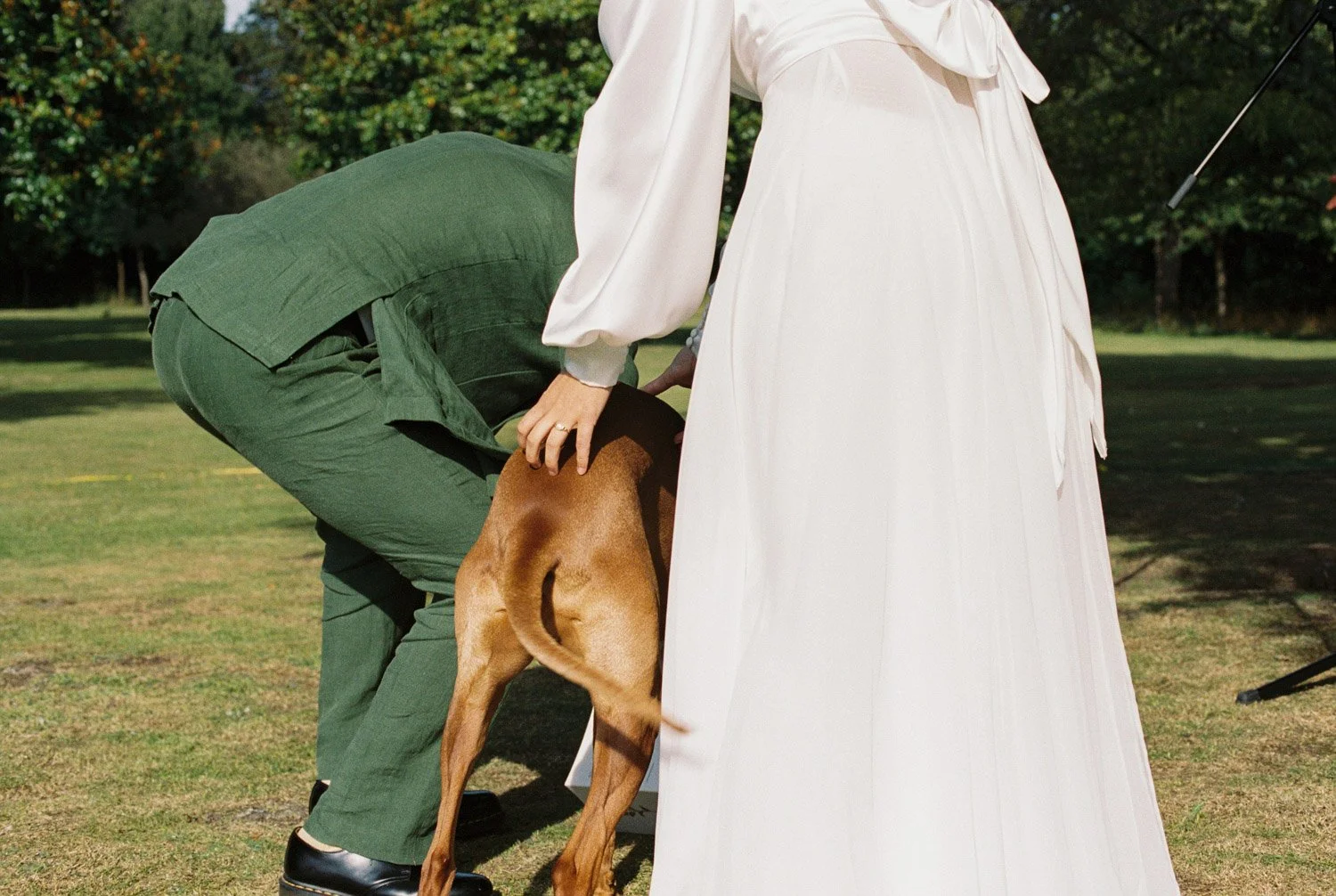 Groom bends by a brown dog with bride on wedding dress by his side