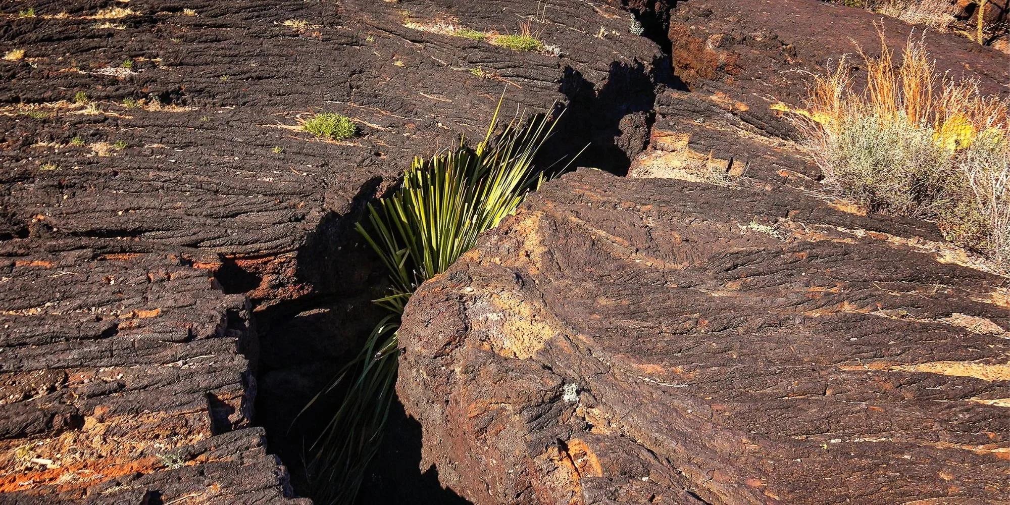 The Aftershock Era Has Already Started, And It's Time for Leaders to Reset