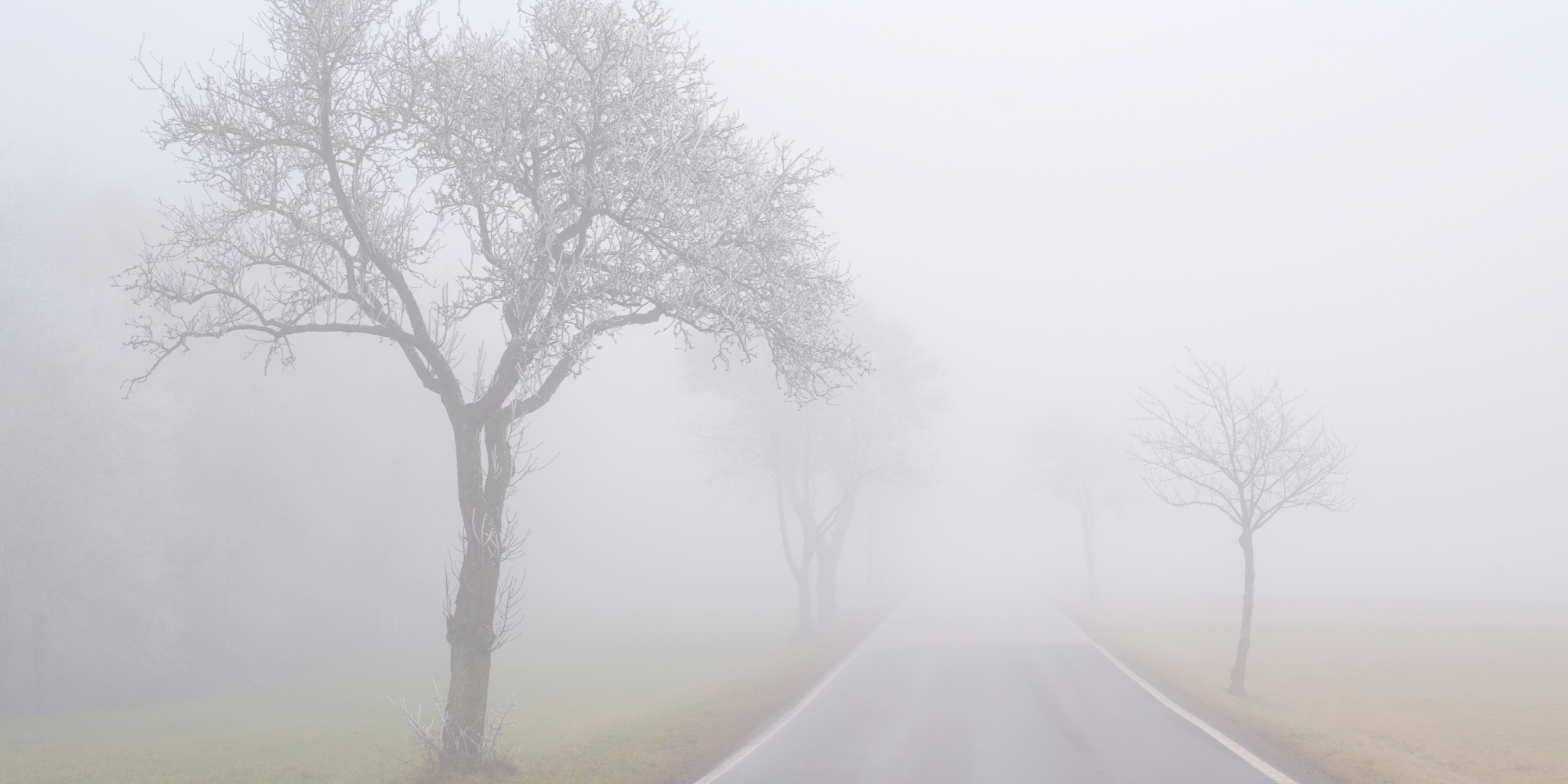 The Geopolitical Aftershock: How Global Uncertainty Erodes Your Edge