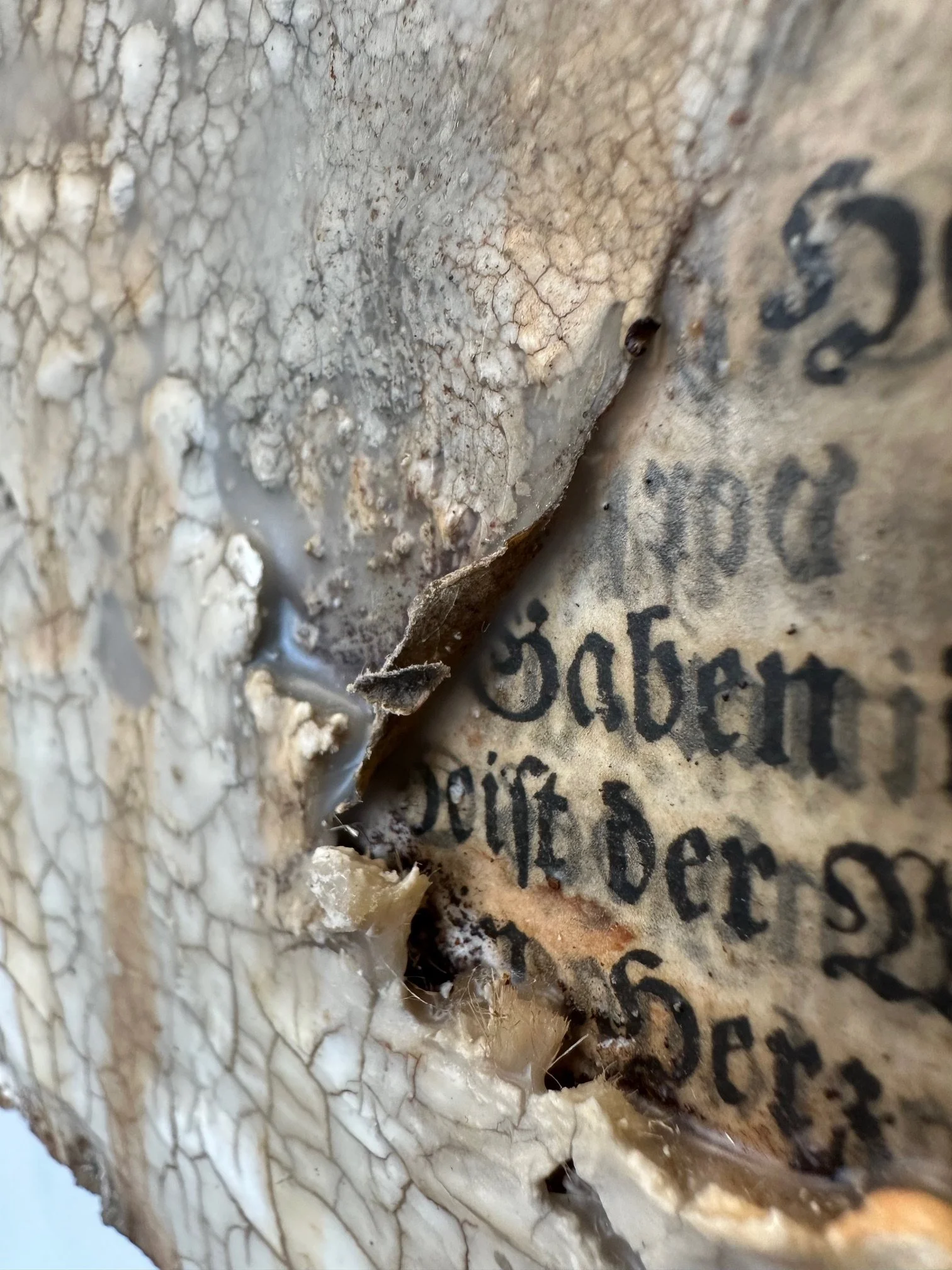 Asche-Regen - Detail 02 - IMG_9894.jpg