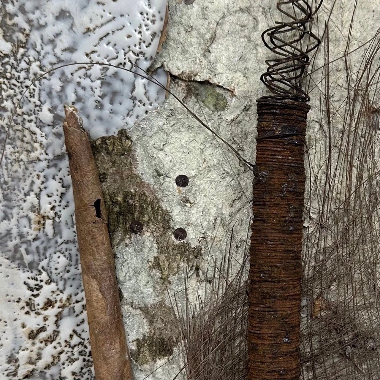 Baumkleider Nr. 3 - Detail 02.jpg