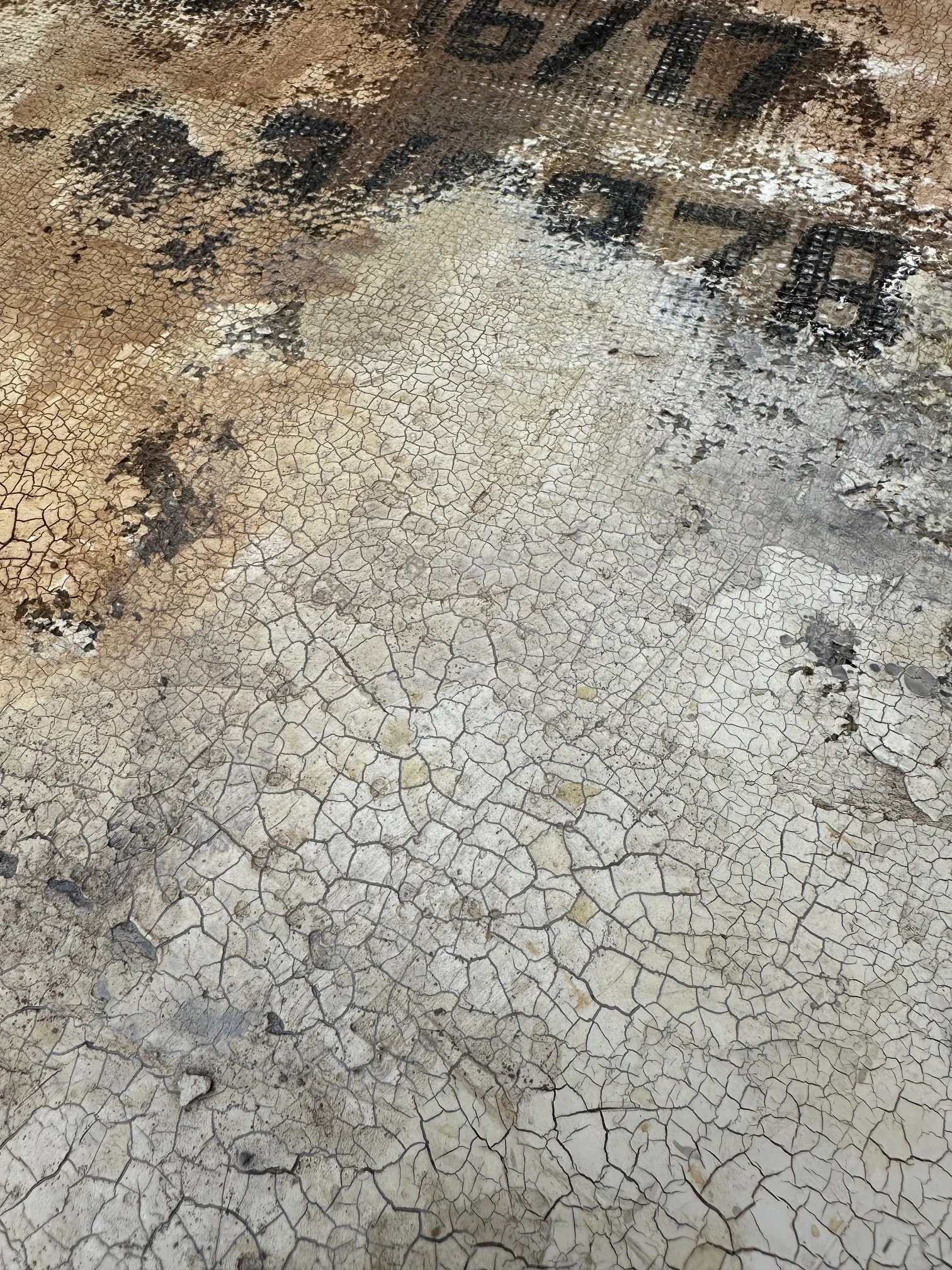 Altes Gemäuer - Detail 03 - IMG_7928.jpg