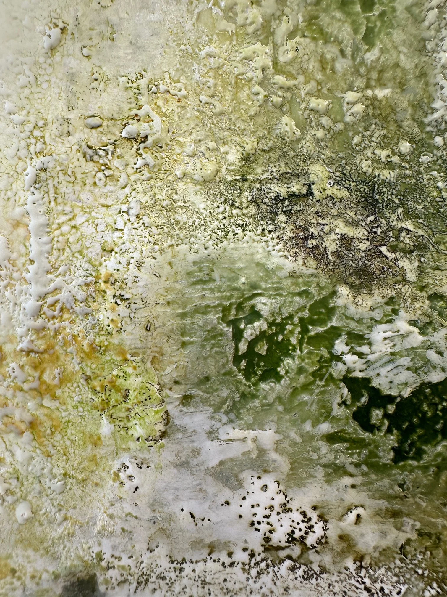 Herbstgeflüster - Detail 01 - IMG_8920.jpg