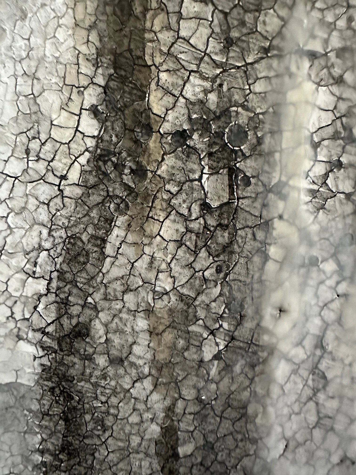 Grey Silence III - Detail 03 - IMG_1044.jpg