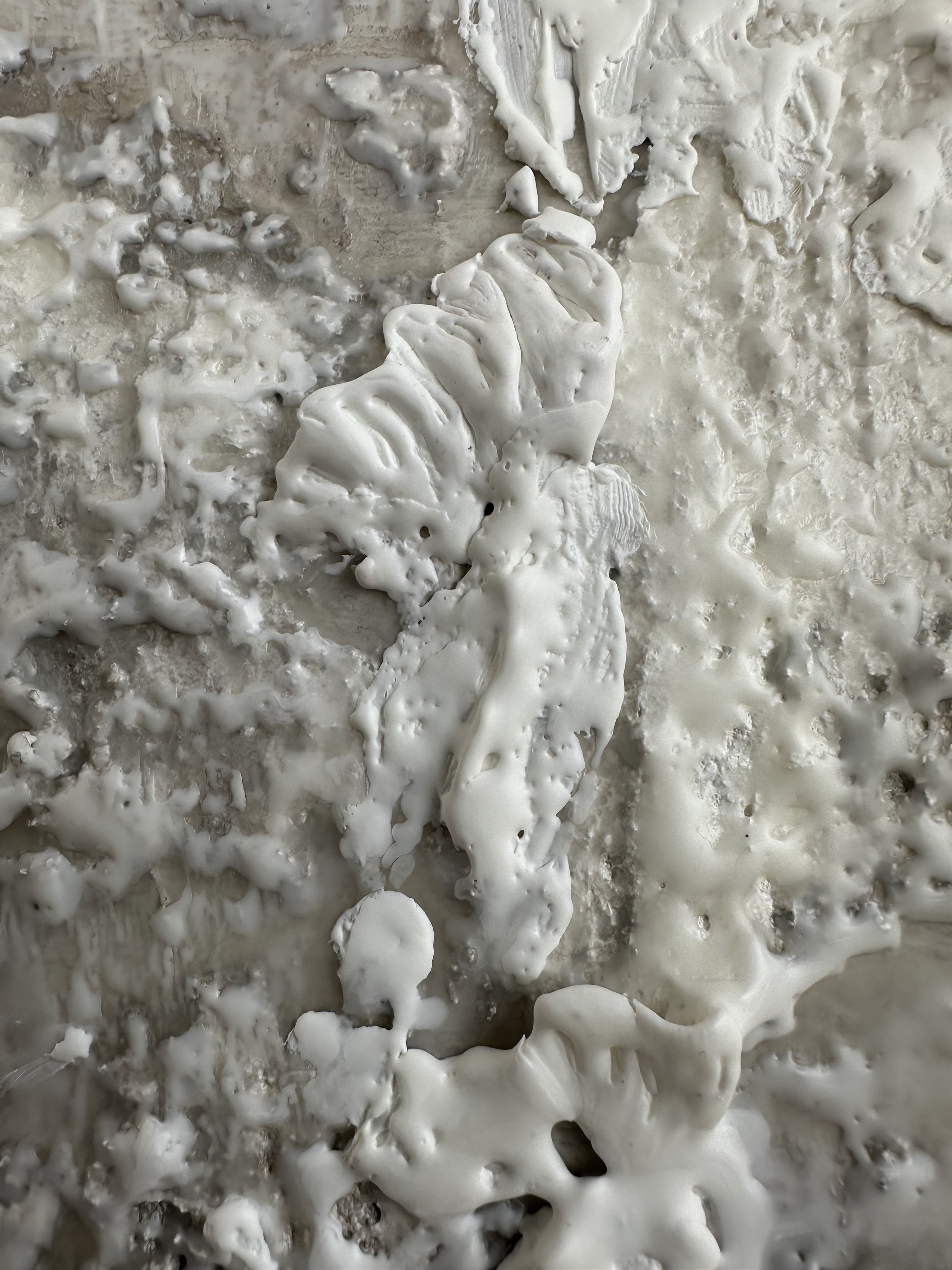 Winterweiss - Detail 01 - IMG_9818.jpeg