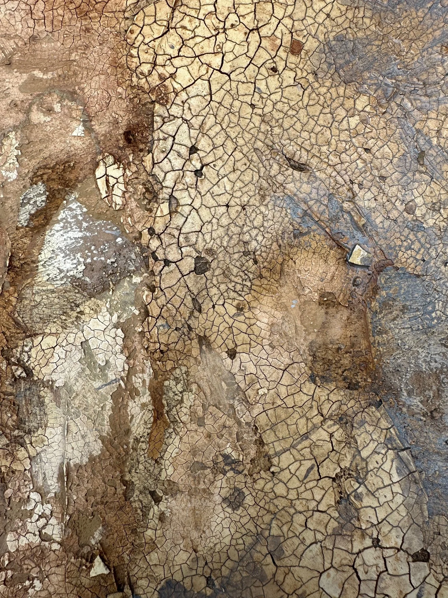 Altes Gemäuer - Detail 04 - IMG_7929.jpg