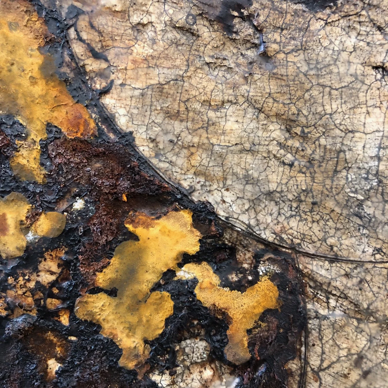 Planeten-Konstellation - Detail 05 - IMG_7122.jpg