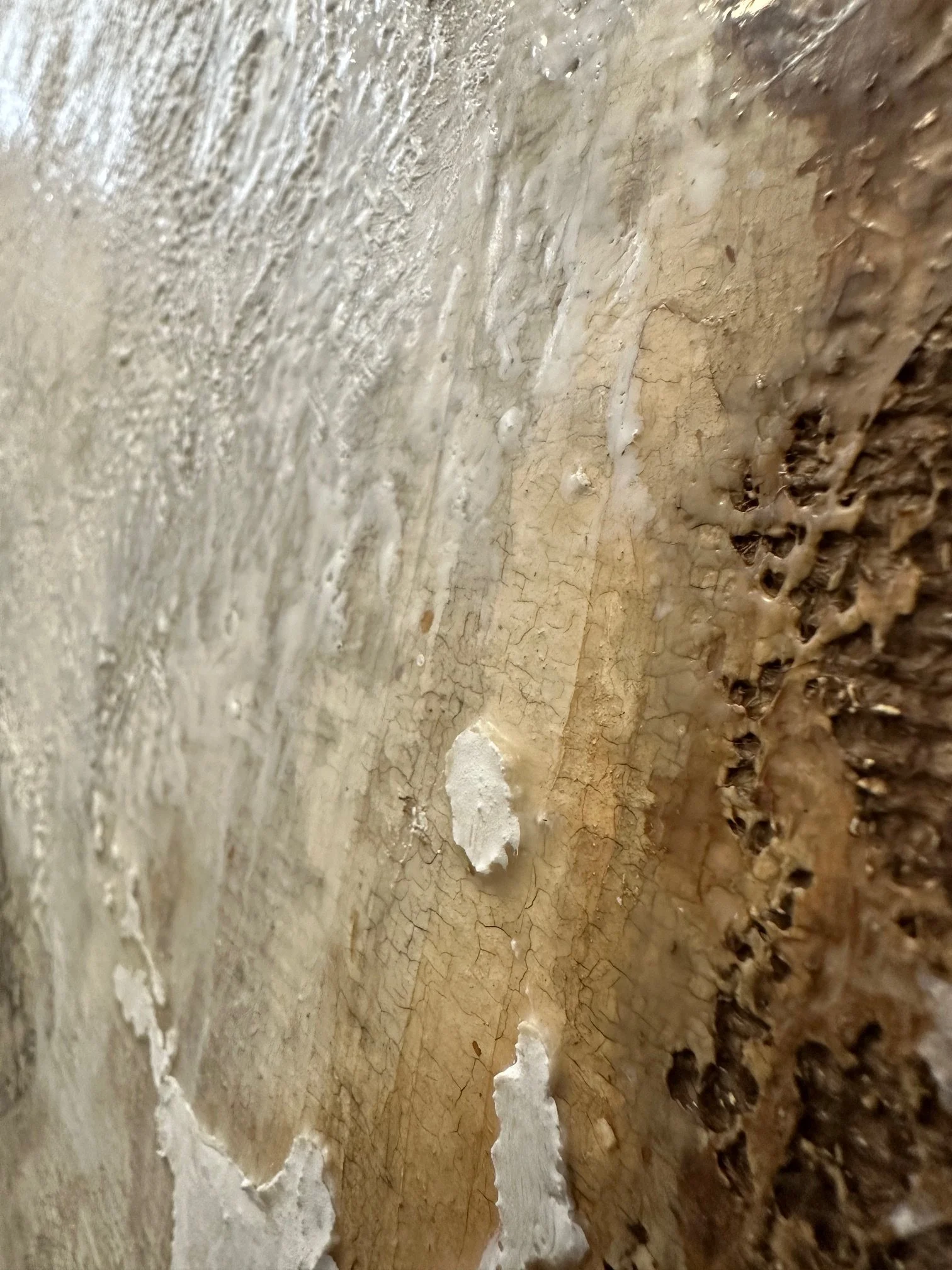 Hoffnung sieht weiter - Detail 03 - IMG_8535.jpg