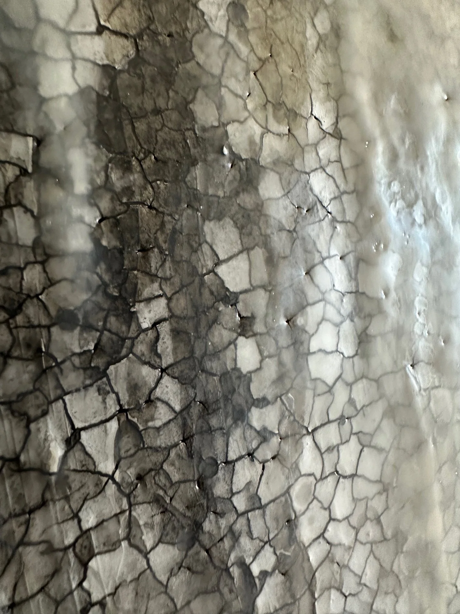 Grey Silence III - Detail 01 - IMG_1036.jpg