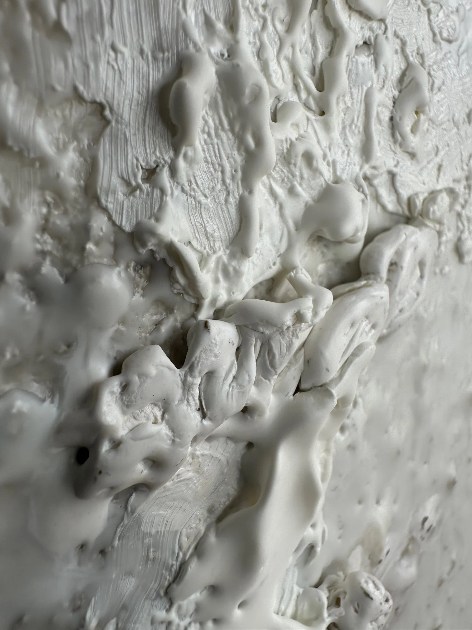 Winterweiss - Detail 02 - IMG_9820.jpg