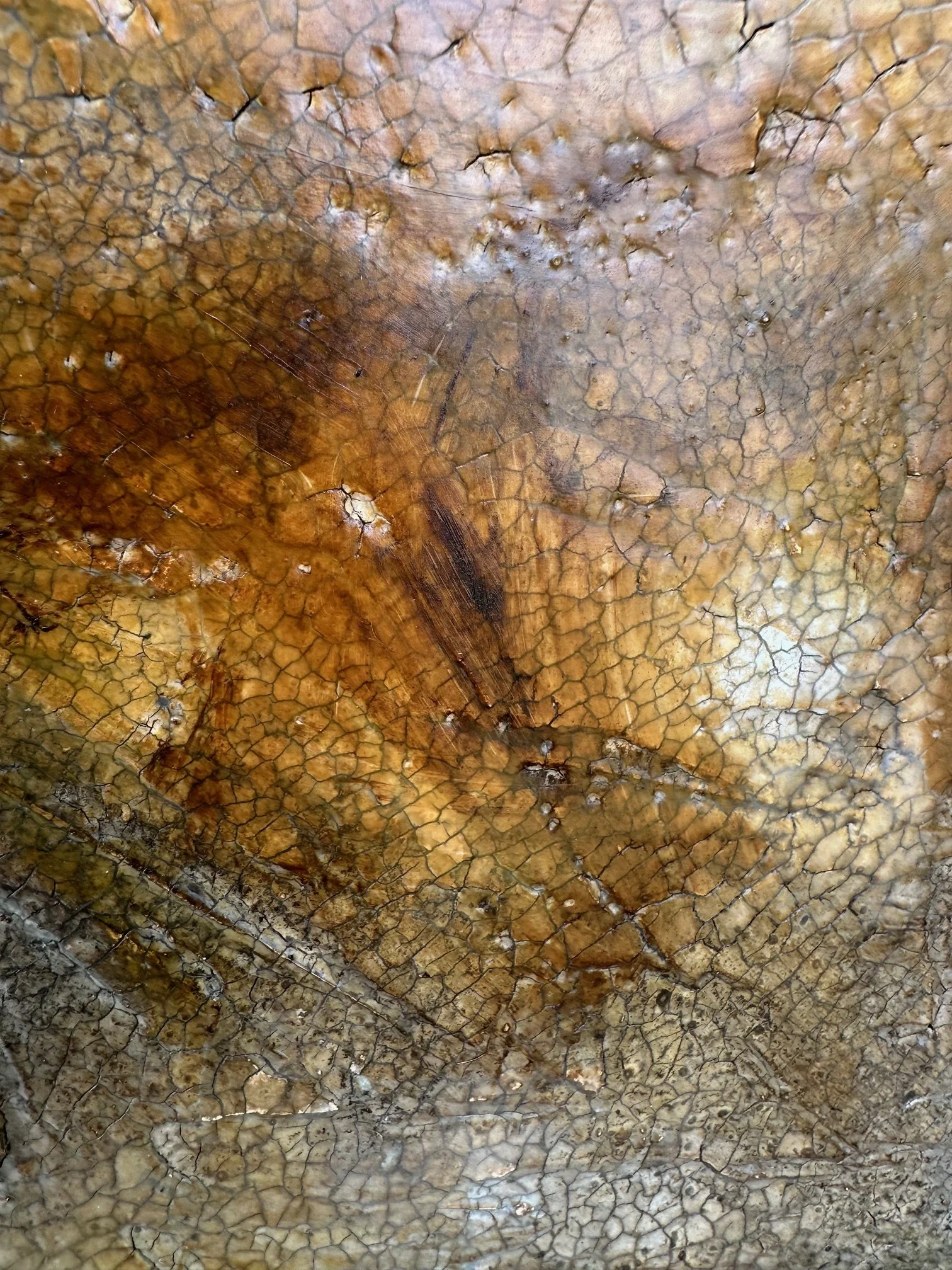 Terra - Detail 04 - IMG_1061.jpg