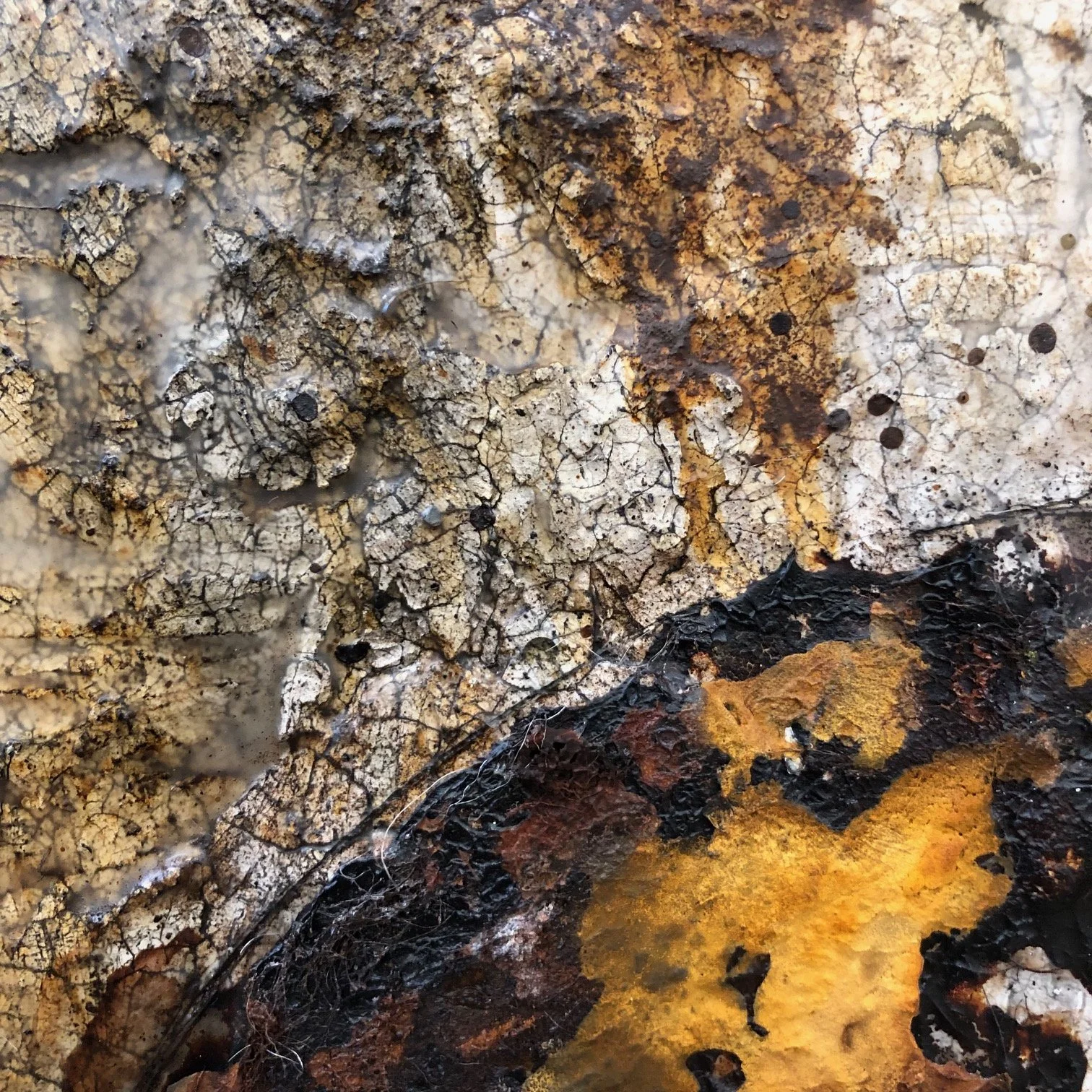 Planeten-Konstellation - Detail 01 - IMG_7128.jpg