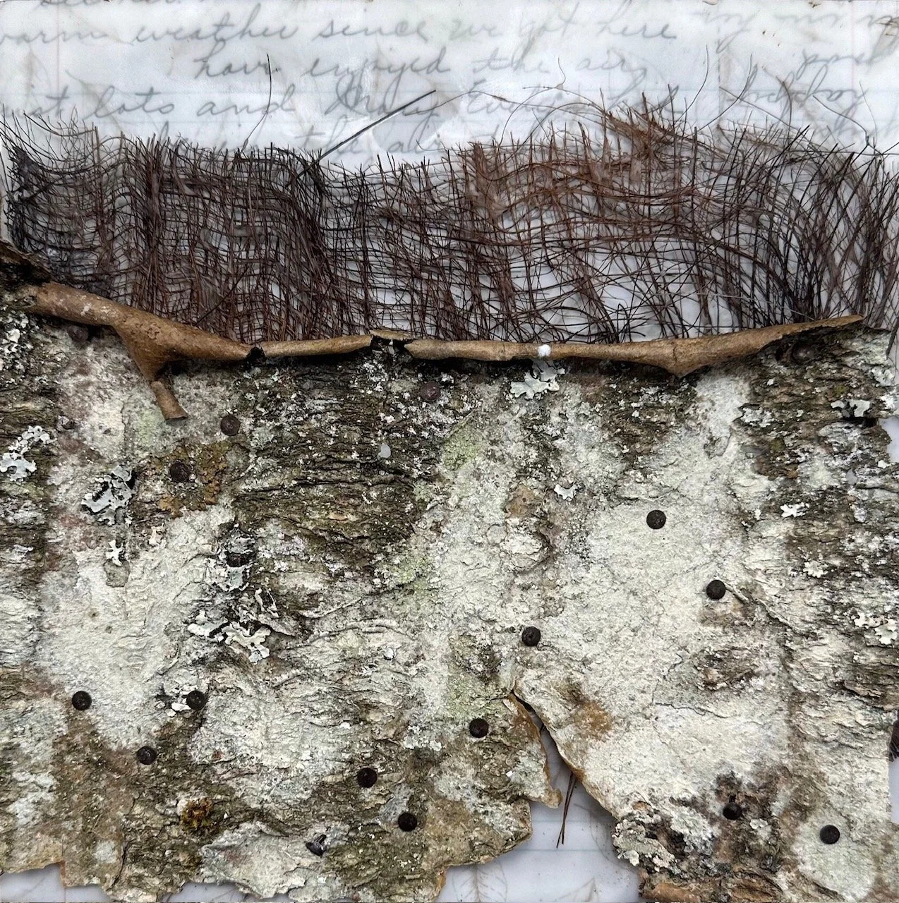 Baumkleider Nr. 1 - Detail.jpg